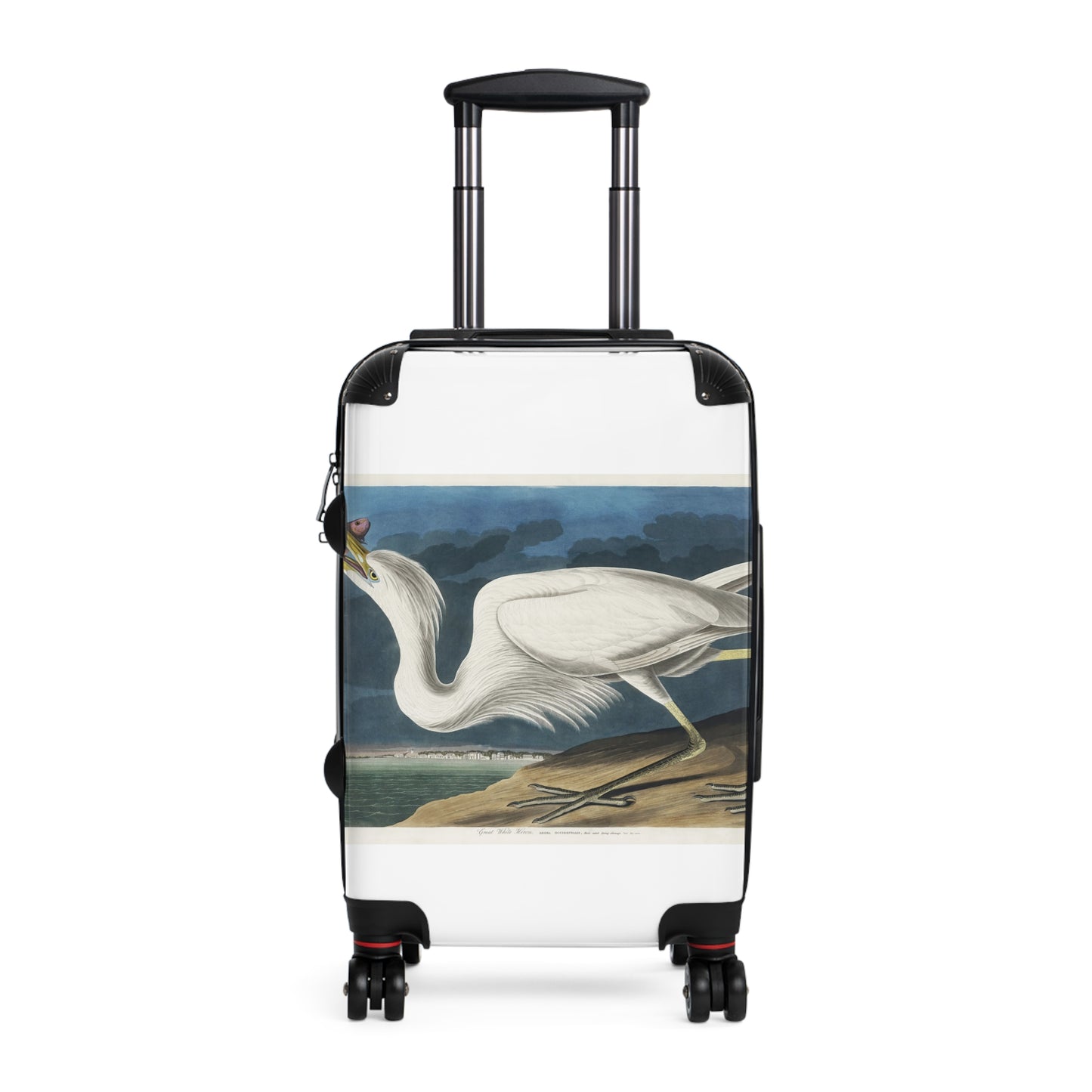 Great-White-Heron-from-Birds-of-America-1827-by-John-James-Audubon-giga
