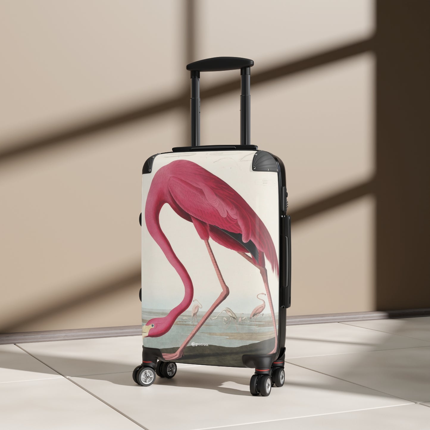 2x3-Pink-Flamingo-from-Birds-of-America-1827-by-John-James-Audubon.jpg