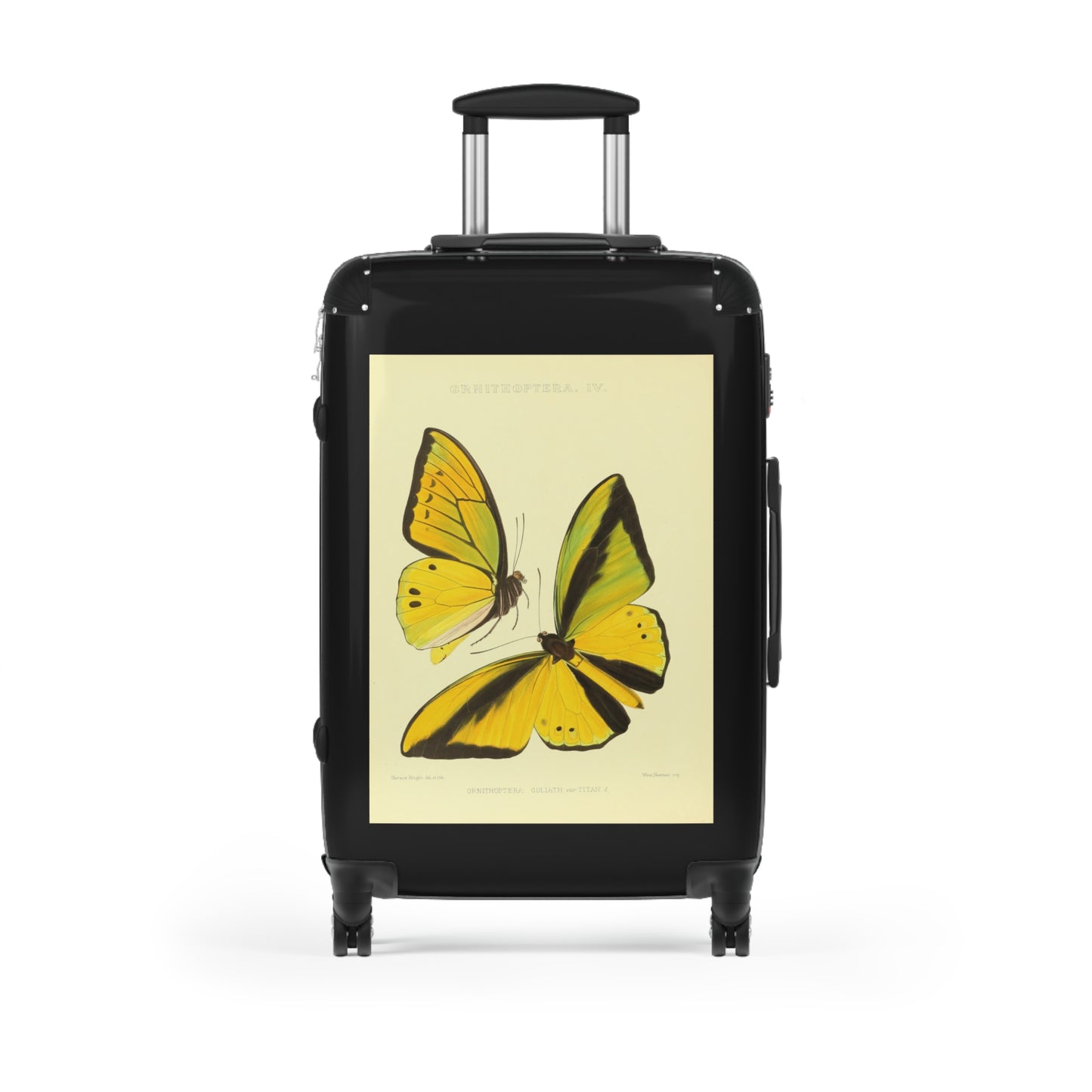 Yellow Butterfly Ornithoptera Goliath var Titan Black Cabin Suitcase