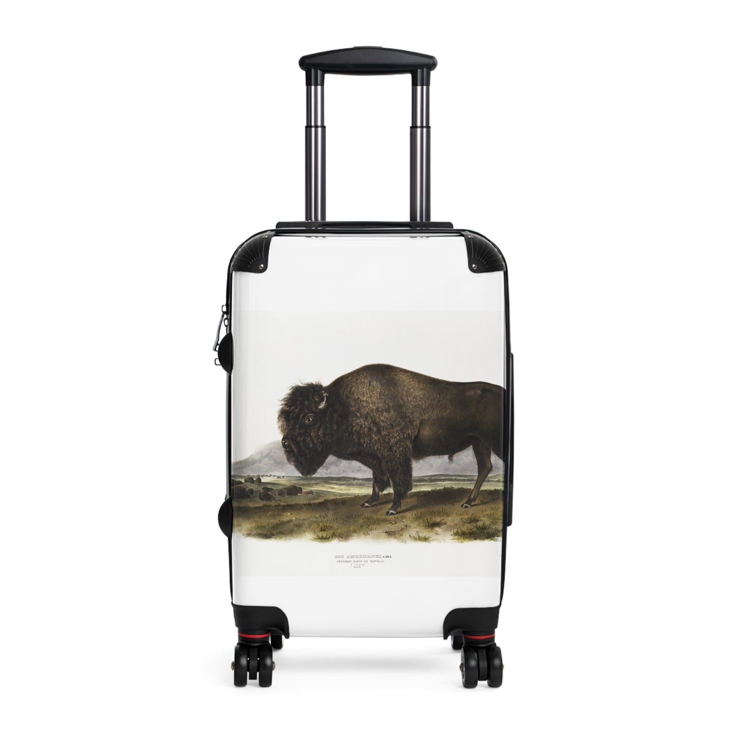 American-Bison-Bos-Americanus-from-the-viviparous-quadrupeds-of-North-America-1845-illustrated-by-John-Woodhouse-Audubon-giga