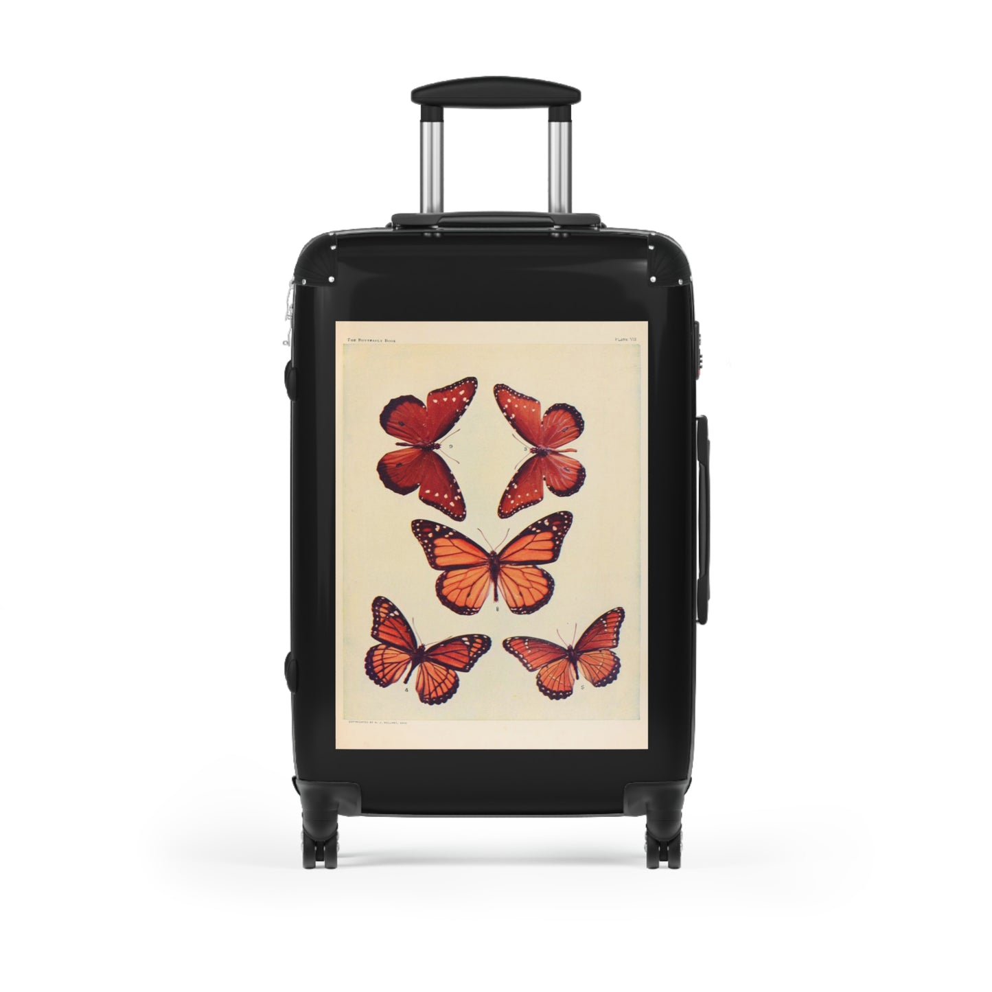 The Butterfly Book Butterflies Macrolepidopteran Rhopalocera Red Lepidoptera Black Cabin Suitcase Rolling Luggage