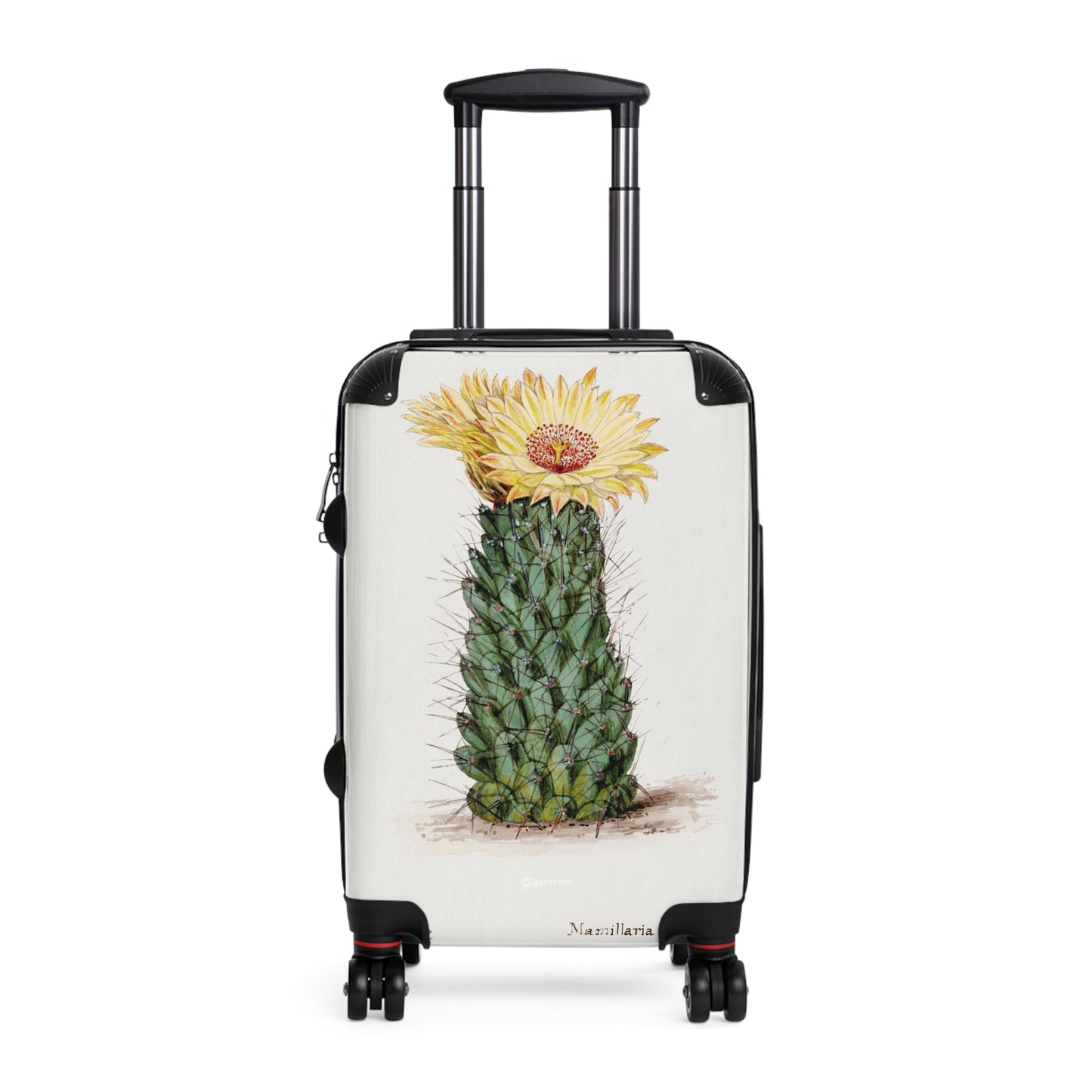 2x3-Beehive-cactus.-Familie-Der-Cacteen-1893-1905.jpg