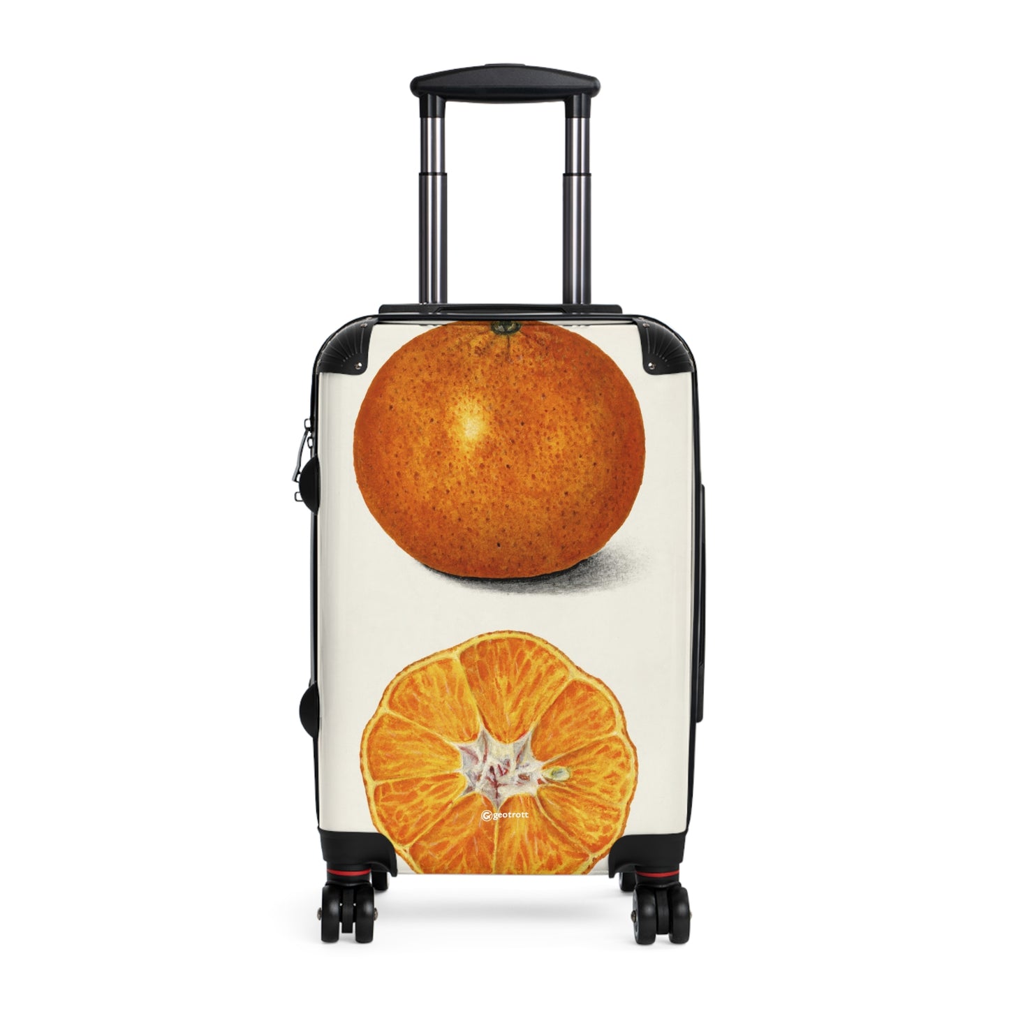 Orange-Citrus-Sinensis-1916-by-Amanda-Almira-Newton.-giga