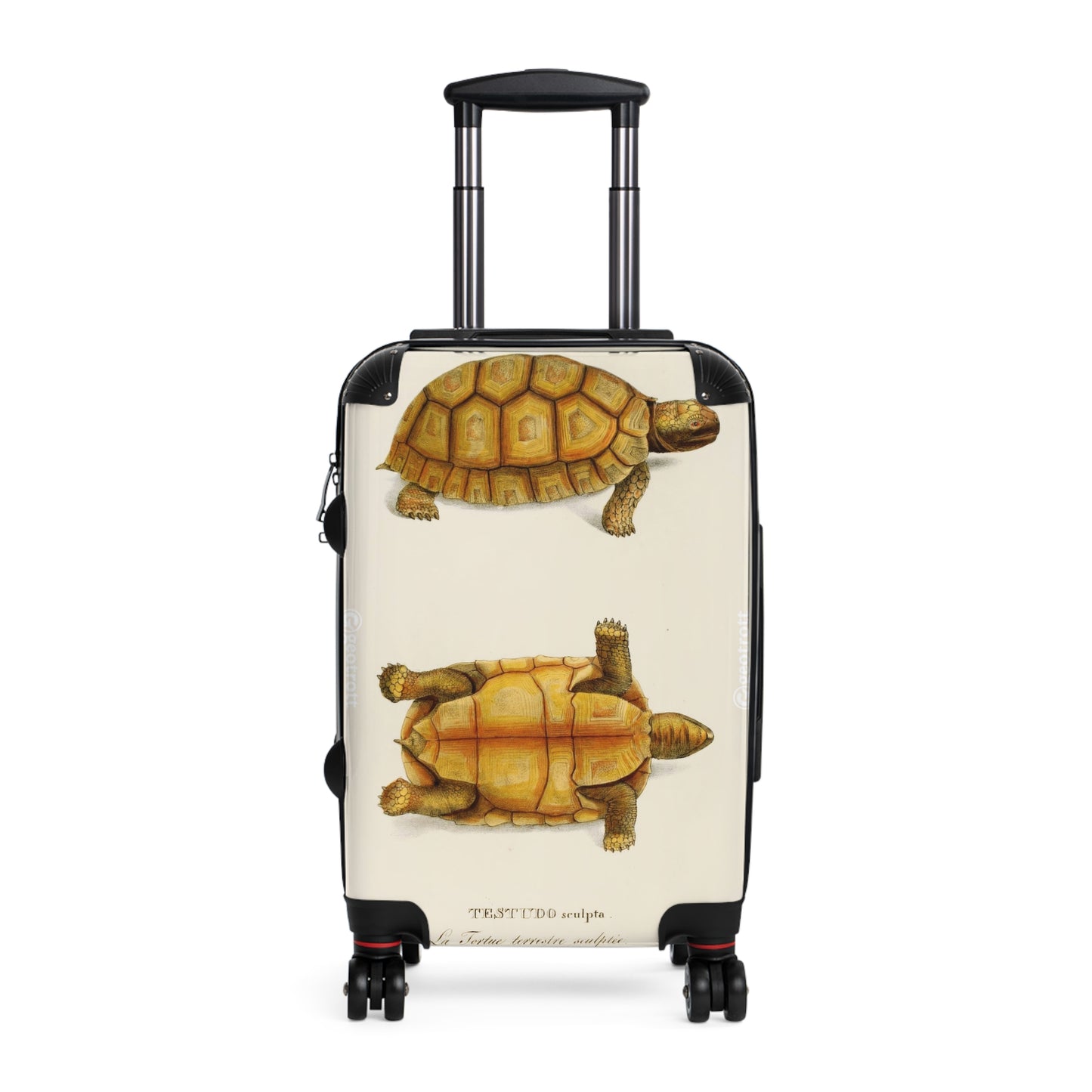 VINTAGE_ANIMALS_162