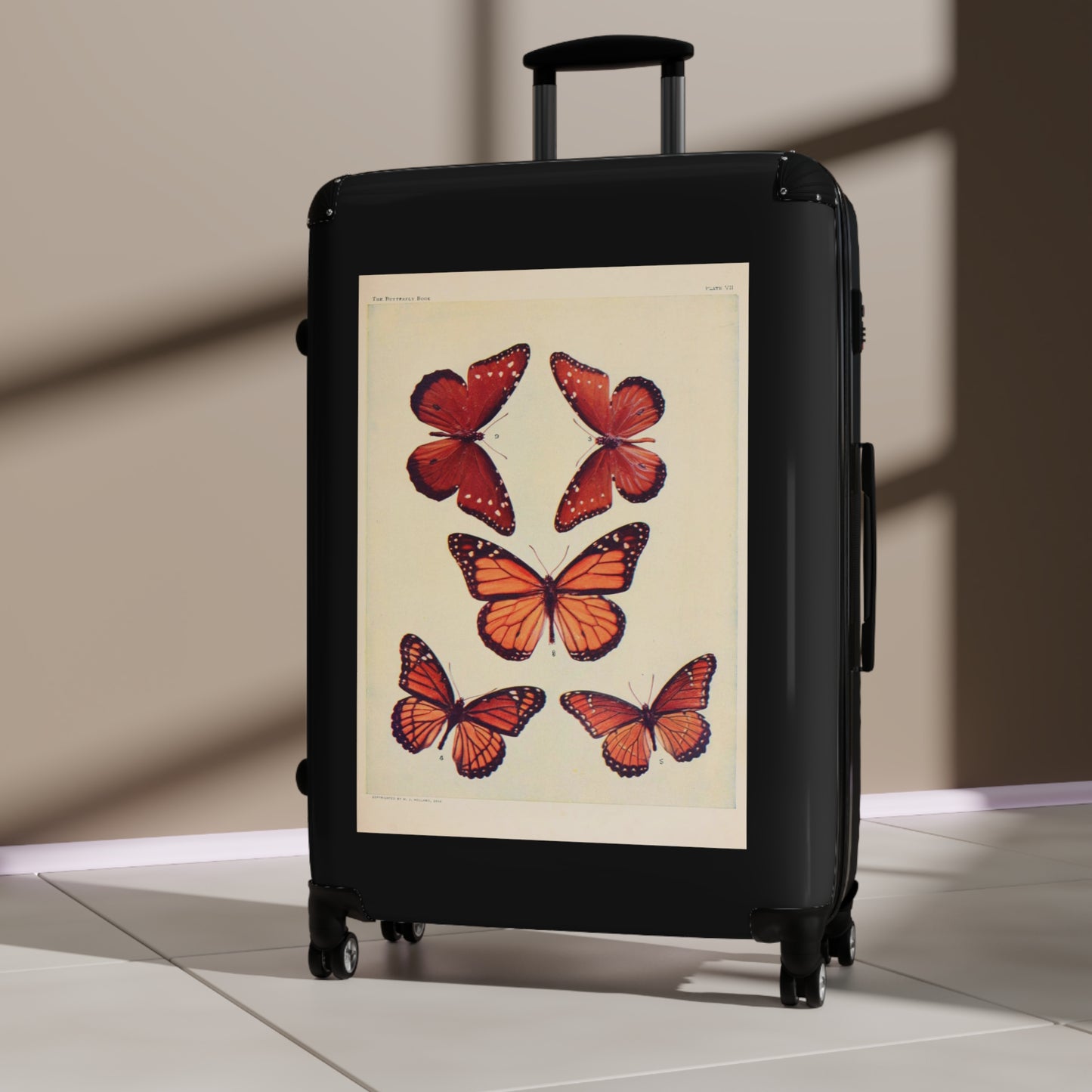 The Butterfly Book Butterflies Macrolepidopteran Rhopalocera Red Lepidoptera Black Cabin Suitcase Rolling Luggage