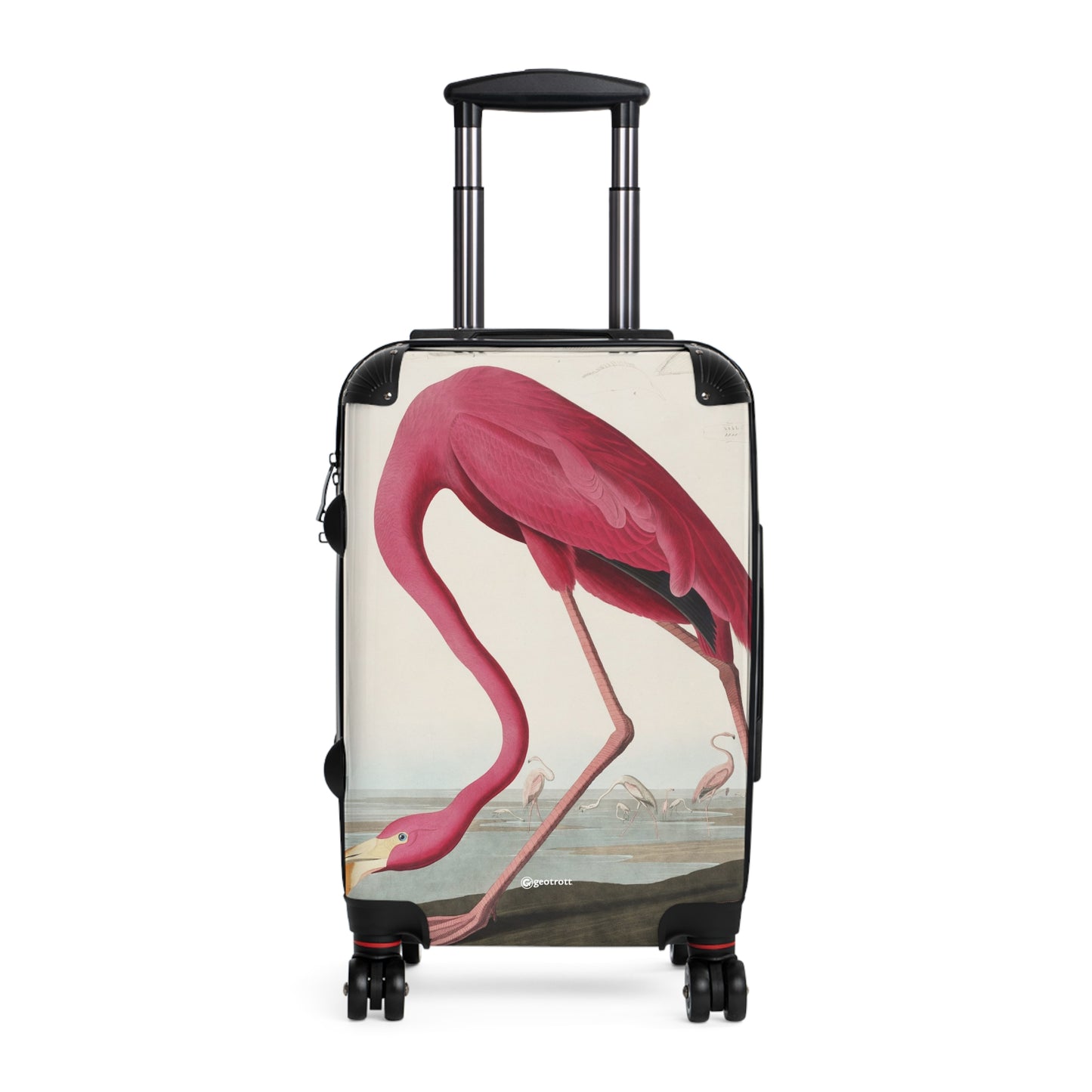 2x3-Pink-Flamingo-from-Birds-of-America-1827-by-John-James-Audubon.jpg