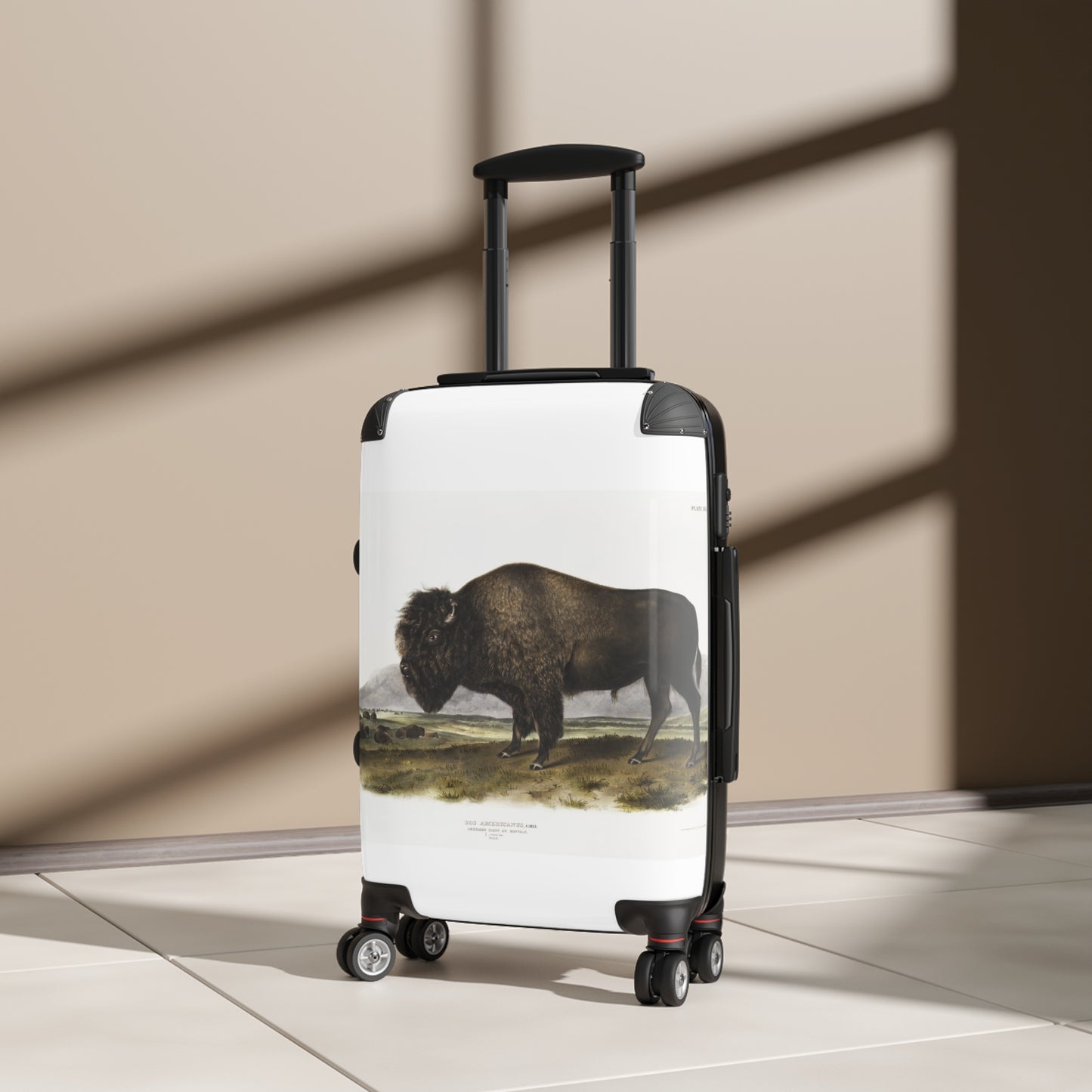 American-Bison-Bos-Americanus-from-the-viviparous-quadrupeds-of-North-America-1845-illustrated-by-John-Woodhouse-Audubon-giga