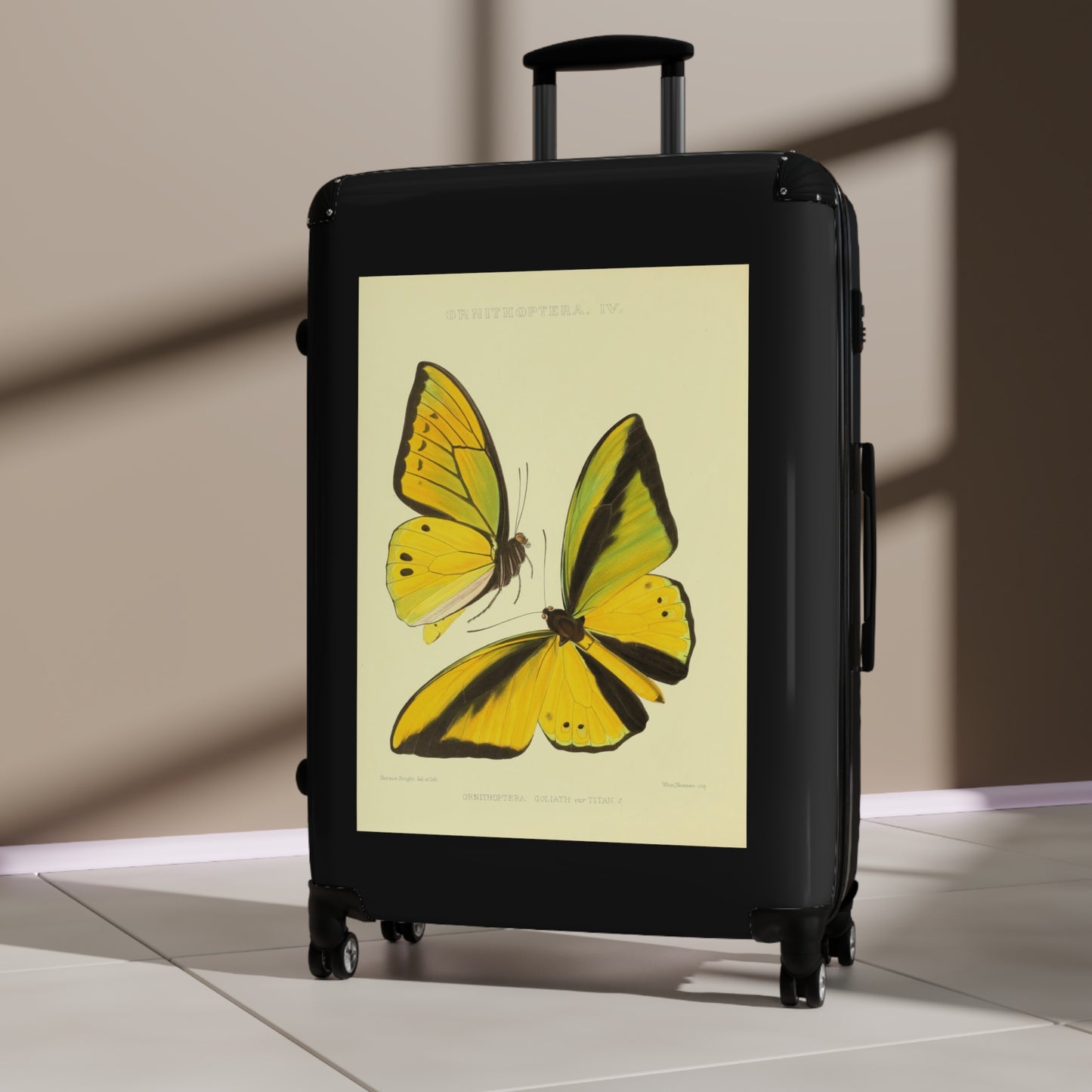 Yellow Butterfly Ornithoptera Goliath var Titan Black Cabin Suitcase