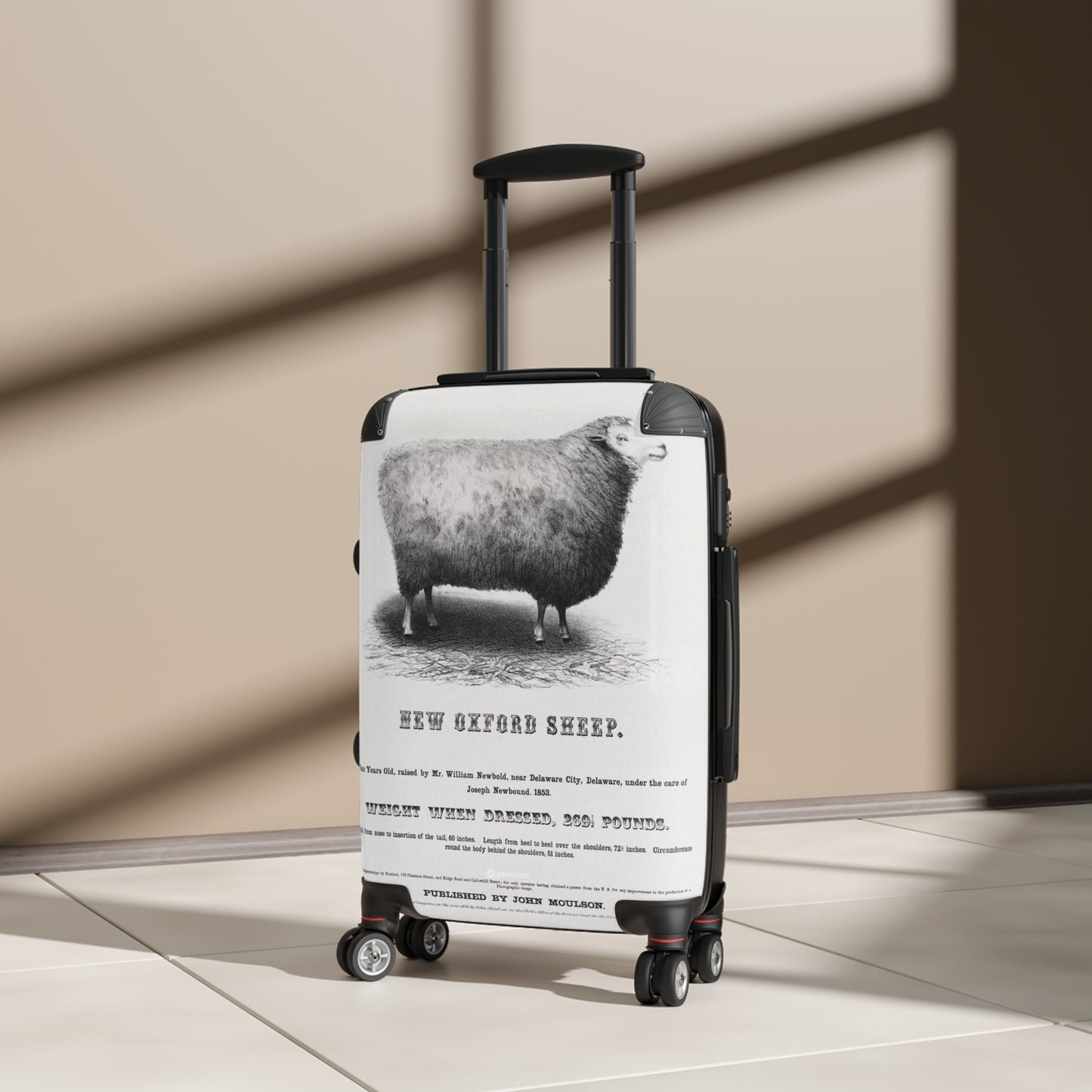 New-Oxford-Sheep-1853-By-John-Moulson Jpg