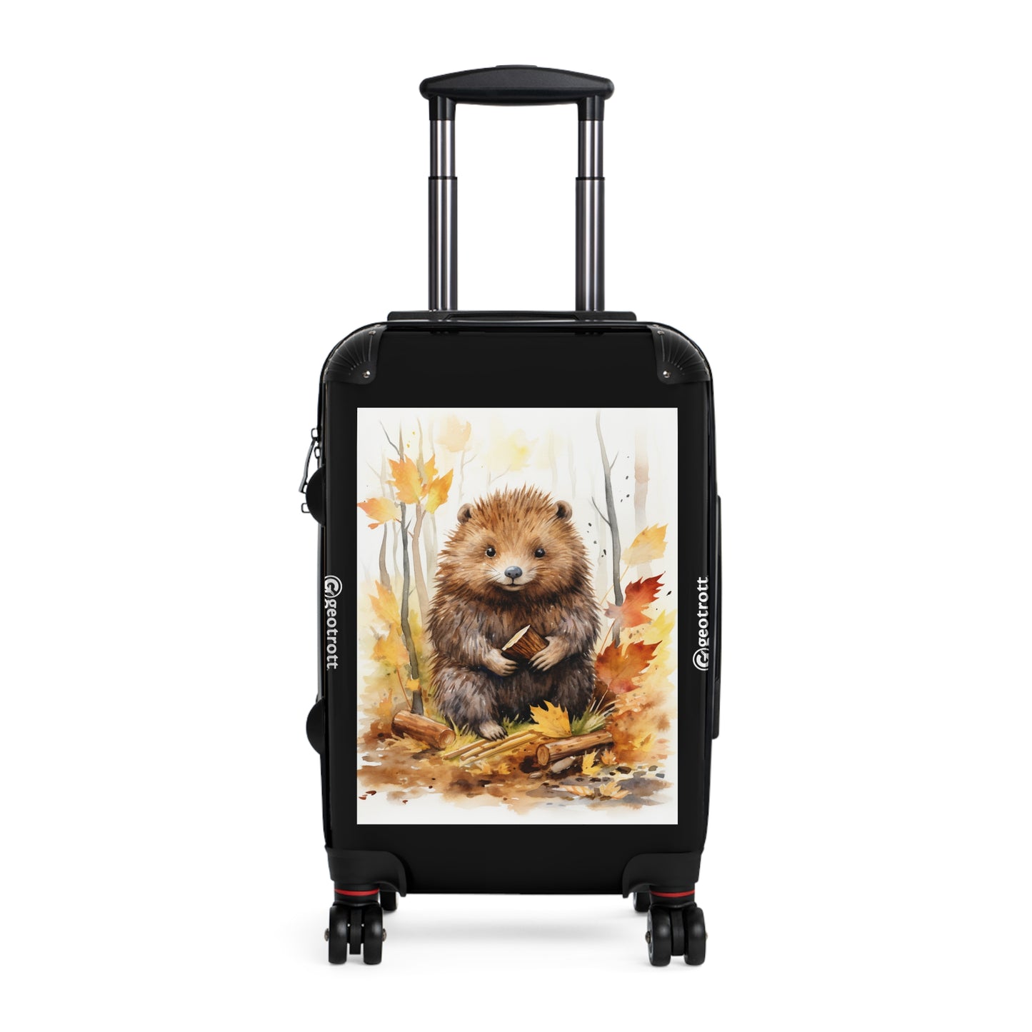 THE Watercolor illustration of a young porcupine making a6ff6894 8278 4c6d a4b4 ba70821464b8 3