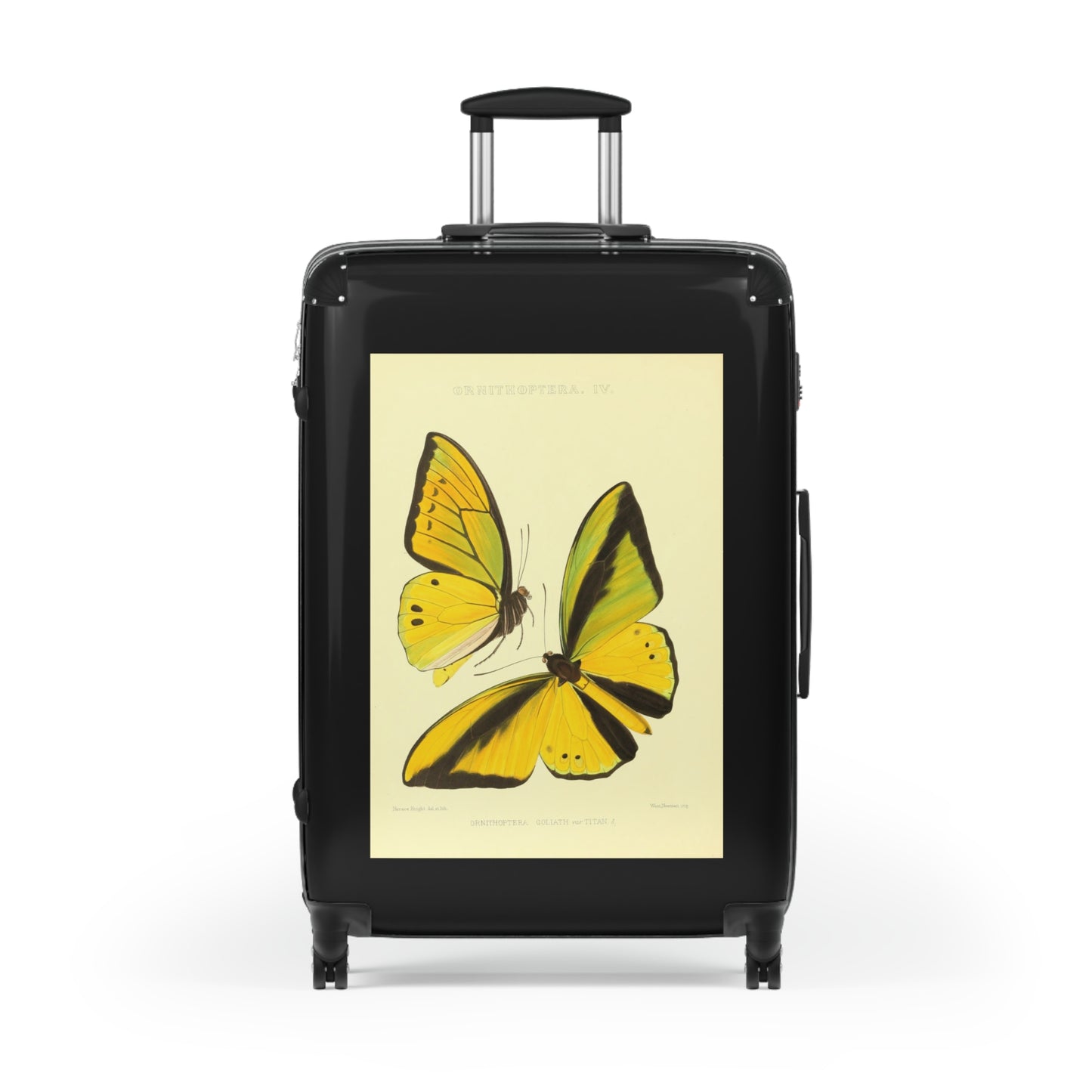 Yellow Butterfly Ornithoptera Goliath var Titan Black Cabin Suitcase