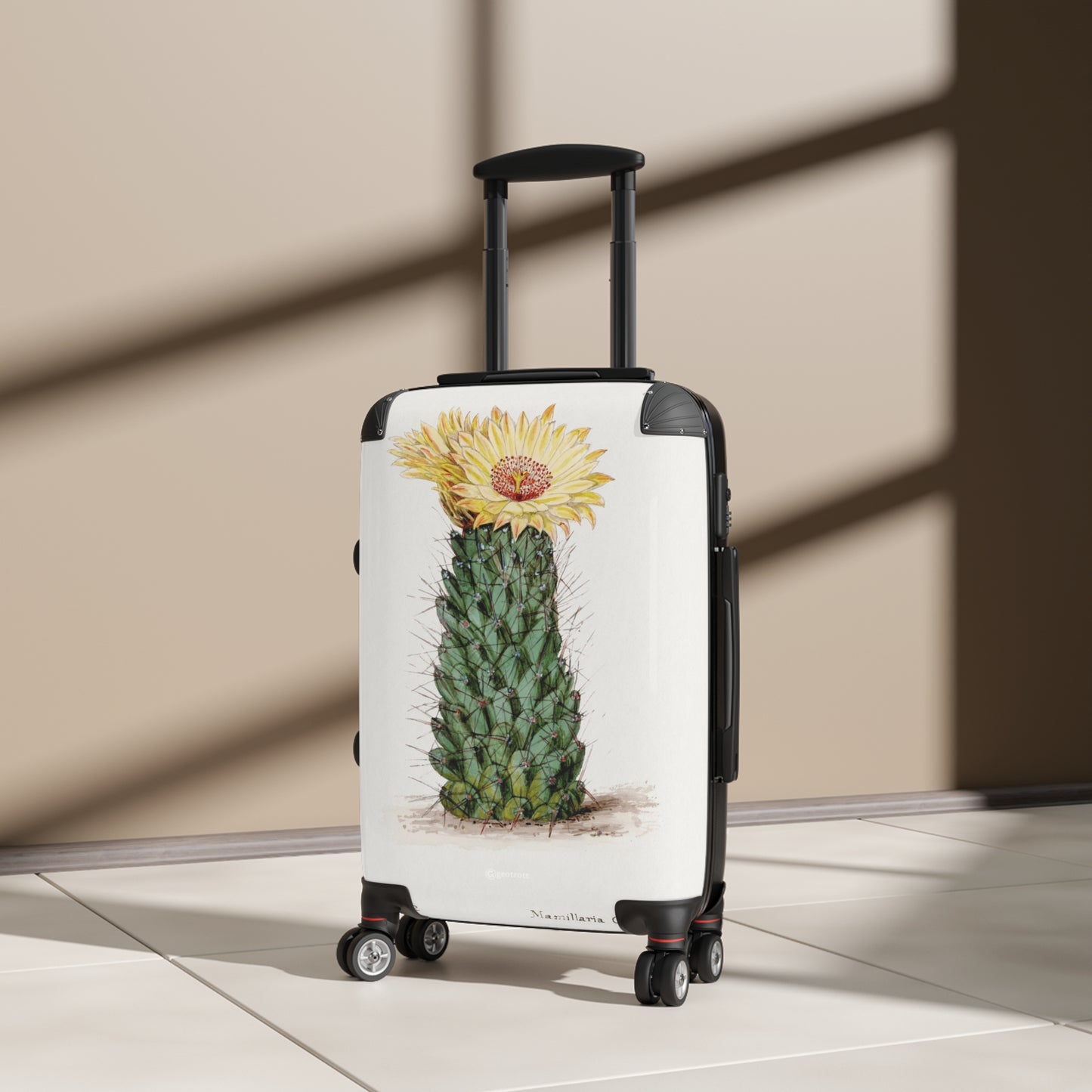 2x3-Beehive-cactus -Familie-Der-Cacteen-1893-1905 jpg