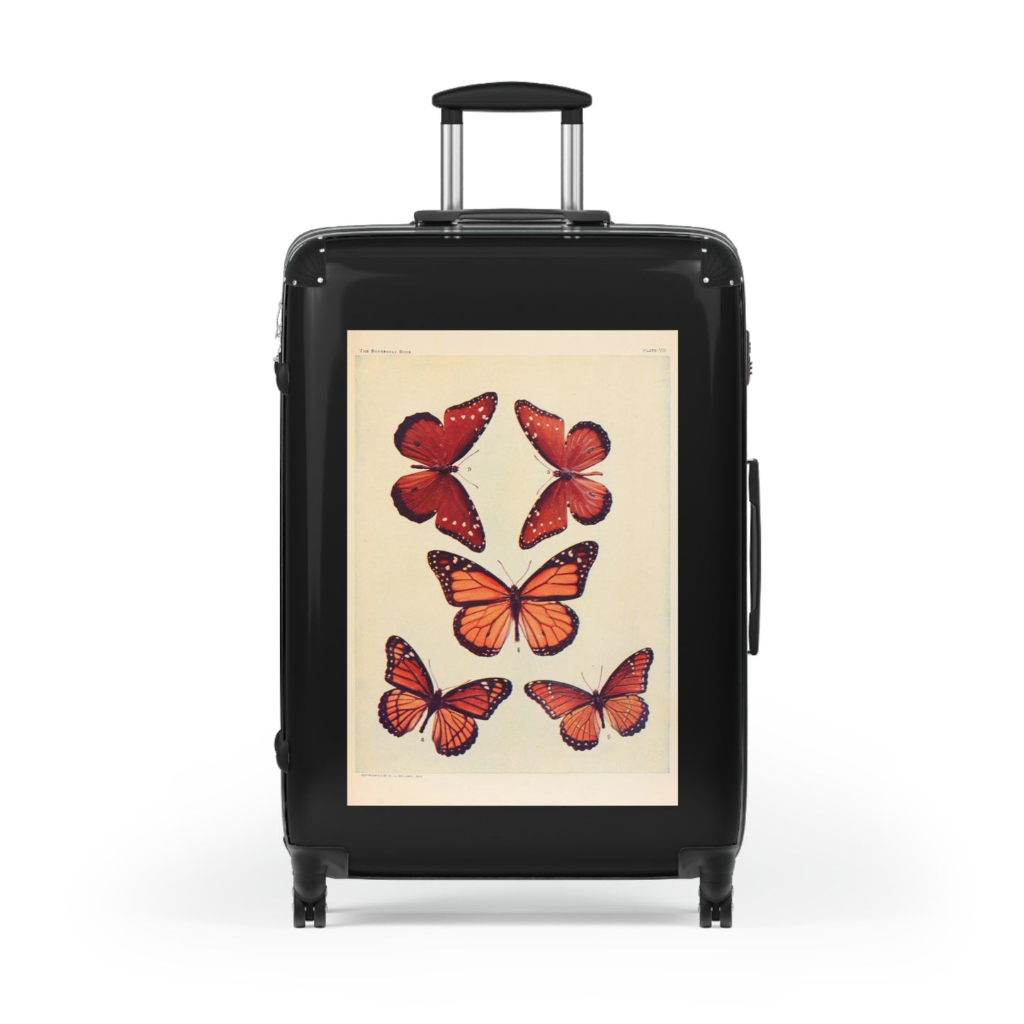 The Butterfly Book Butterflies Macrolepidopteran Rhopalocera Red Lepidoptera Black Cabin Suitcase Rolling Luggage