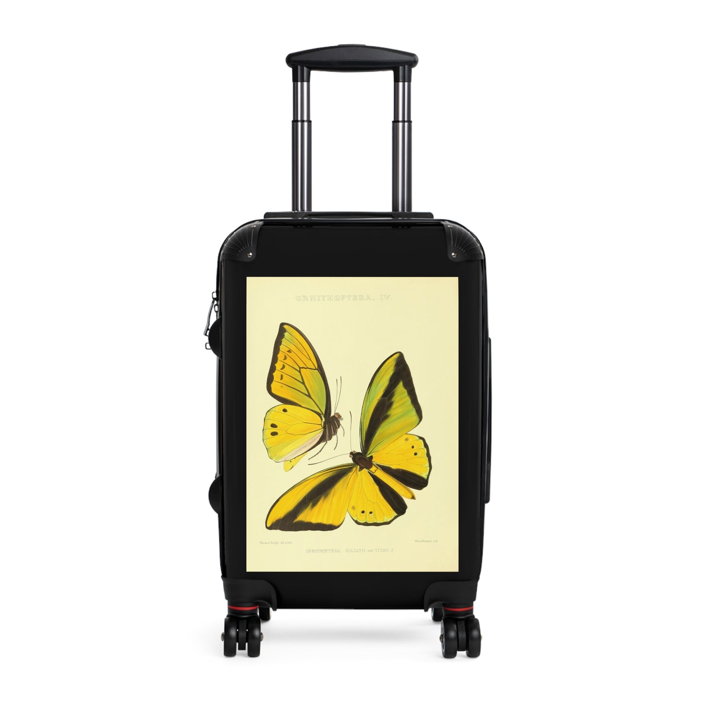 Yellow Butterfly Ornithoptera Goliath var Titan Black Cabin Suitcase