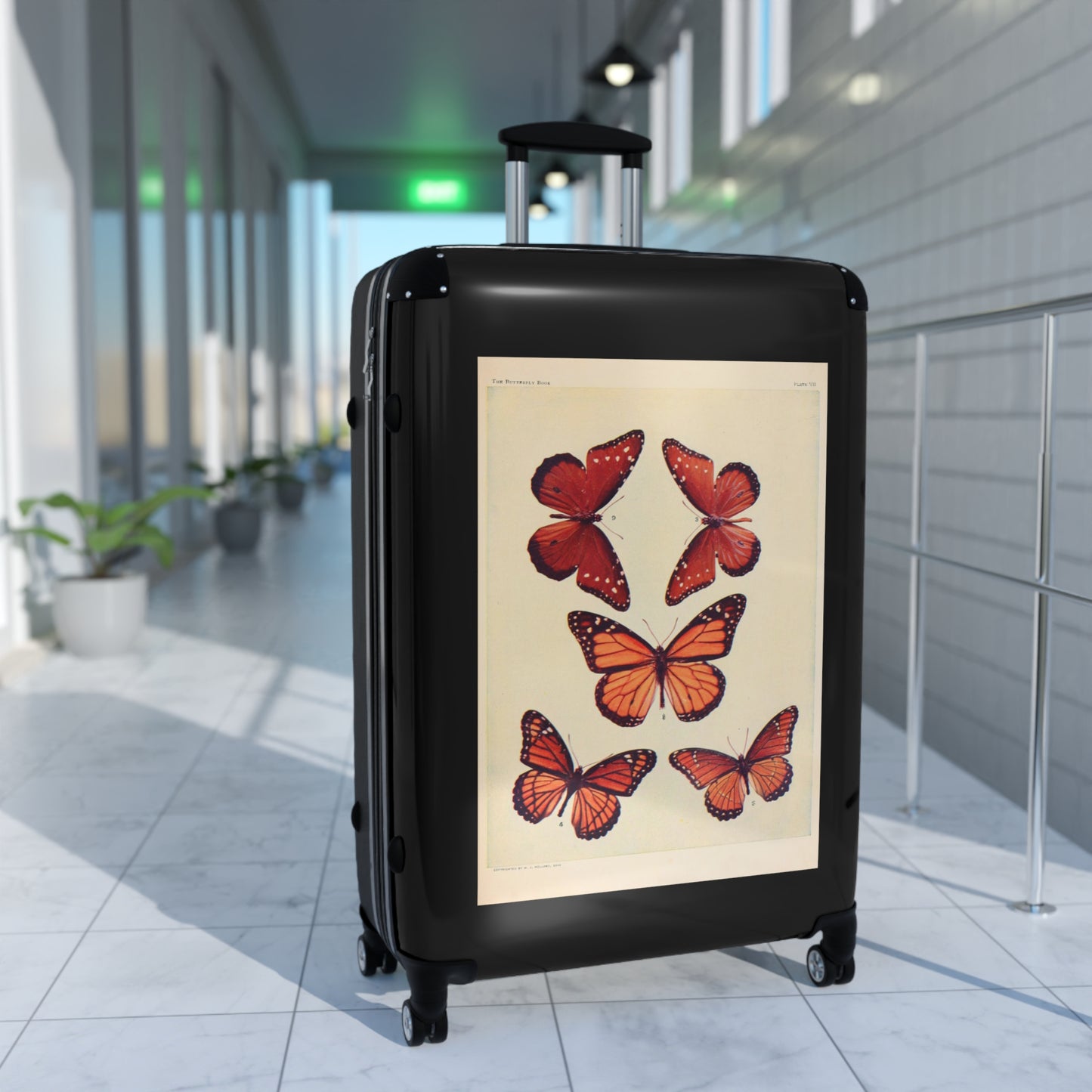 The Butterfly Book Butterflies Macrolepidopteran Rhopalocera Red Lepidoptera Black Cabin Suitcase Rolling Luggage