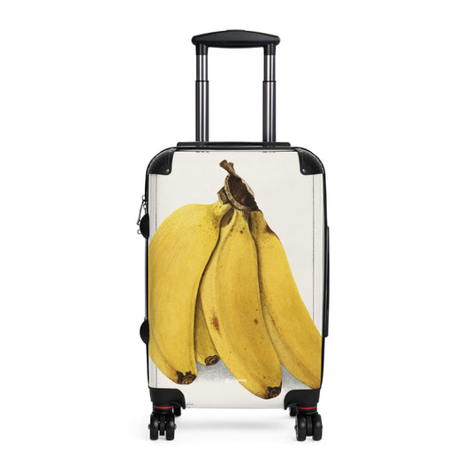 Bananas-Musa-1904-by-Ellen-Isham-Schutt -giga