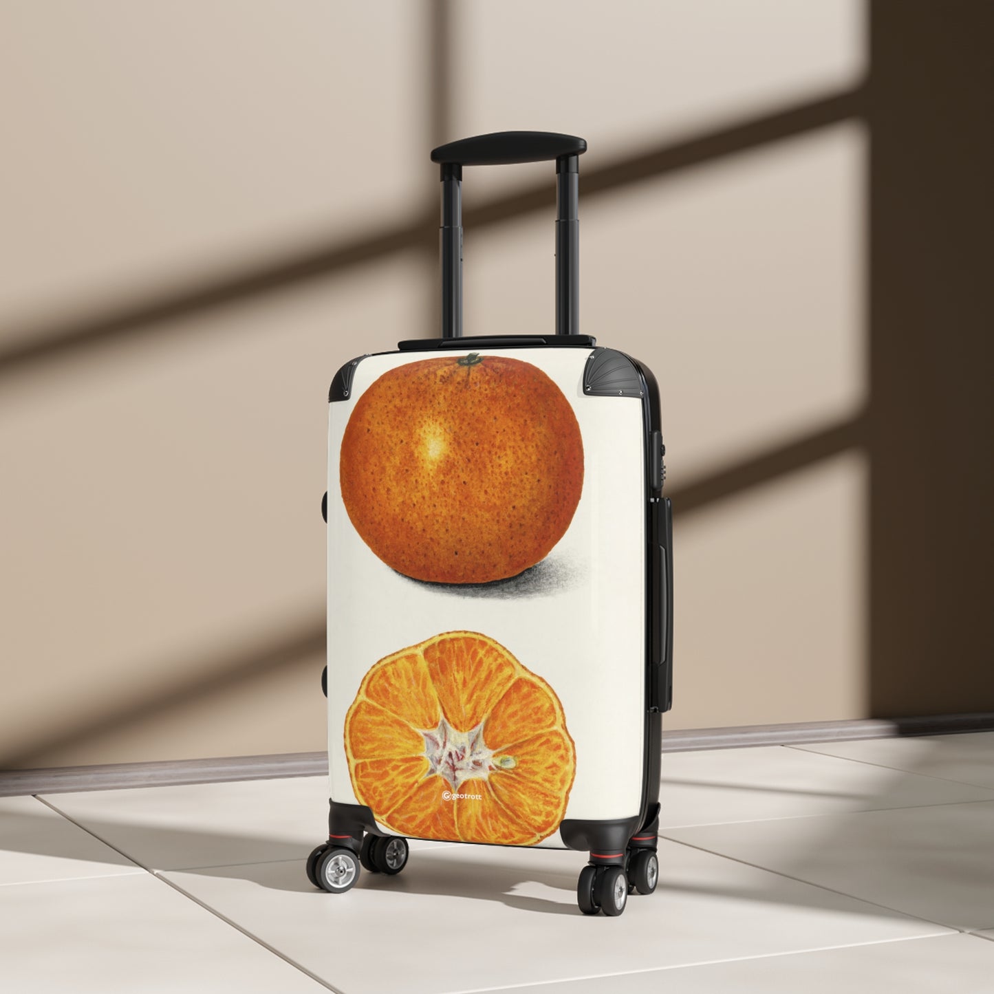 Orange-Citrus-Sinensis-1916-by-Amanda-Almira-Newton.-giga