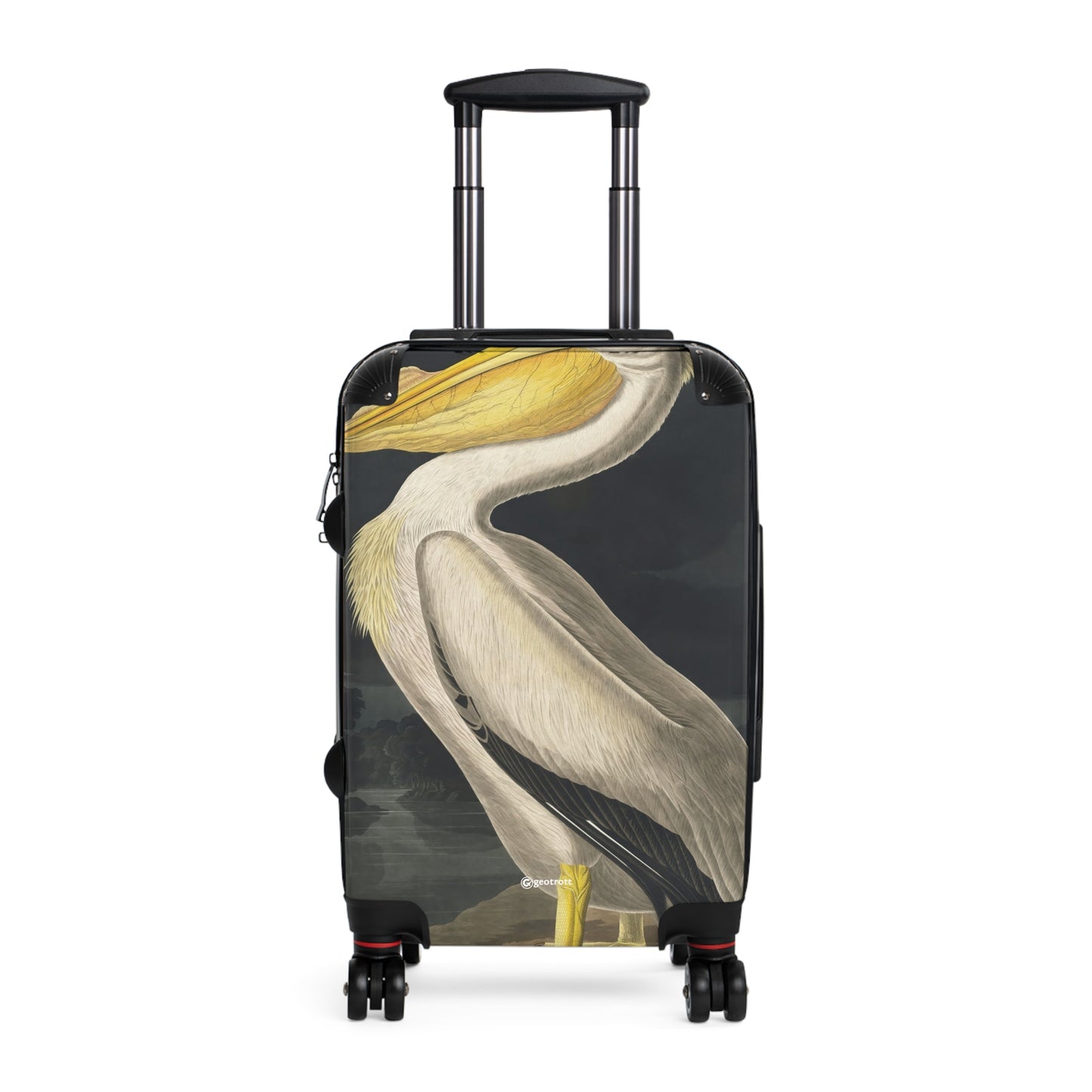 American-White-Pelican-from-Birds-of-America-1827-by-John-James-Audubon-giga