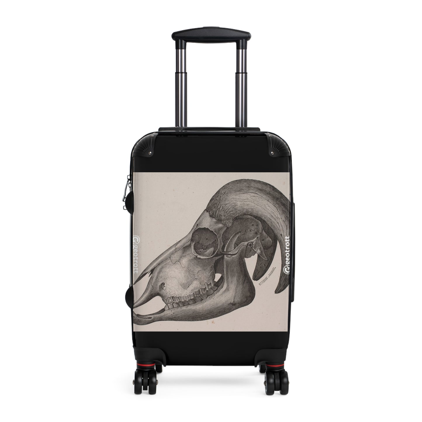 VINTAGE_ANIMALS_60