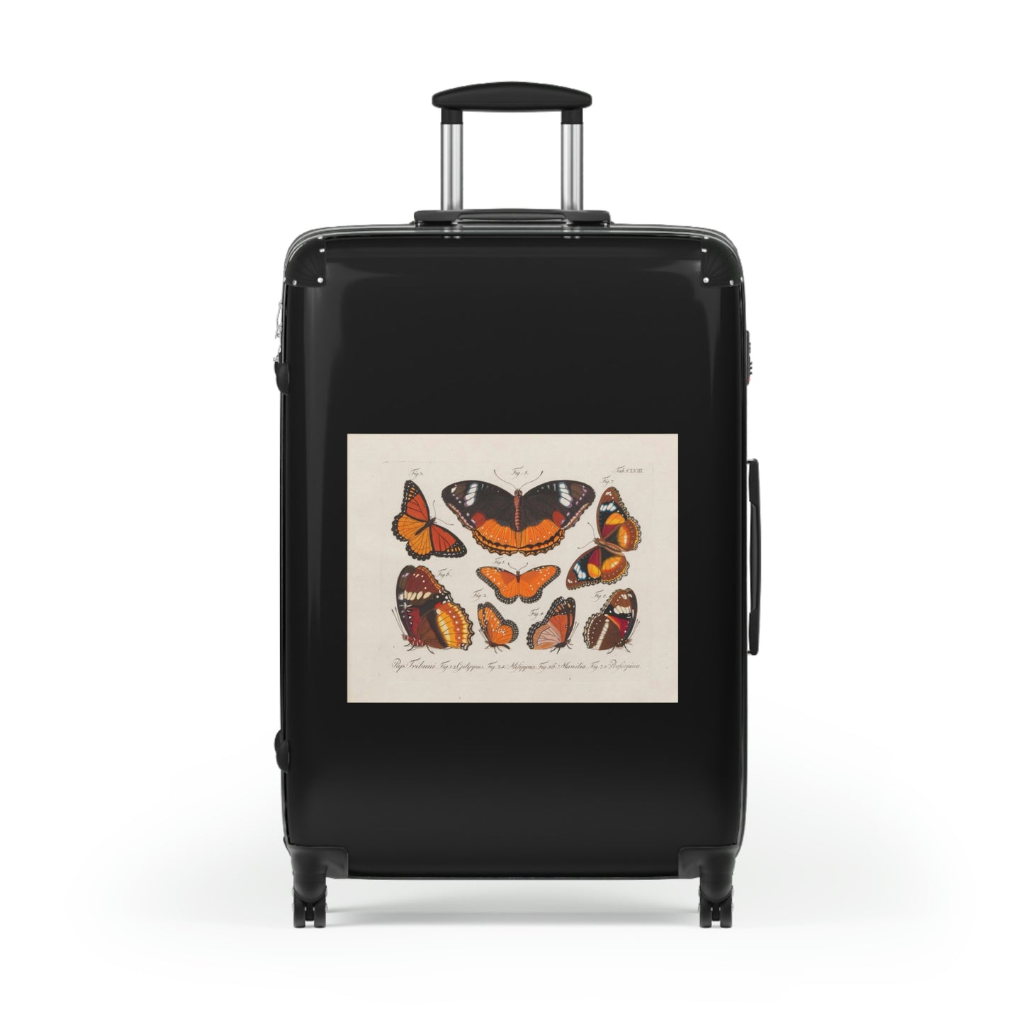 Getrott Butterflies Pap Tribuni Gilippus Milippus Manilia Proferpina Cabin Suitcase Rolling Luggage Extended Storage Adjustable Telescopic Handle Double wheeled Polycarbonate Hard-shell Built-in Lock-Bags-Geotrott