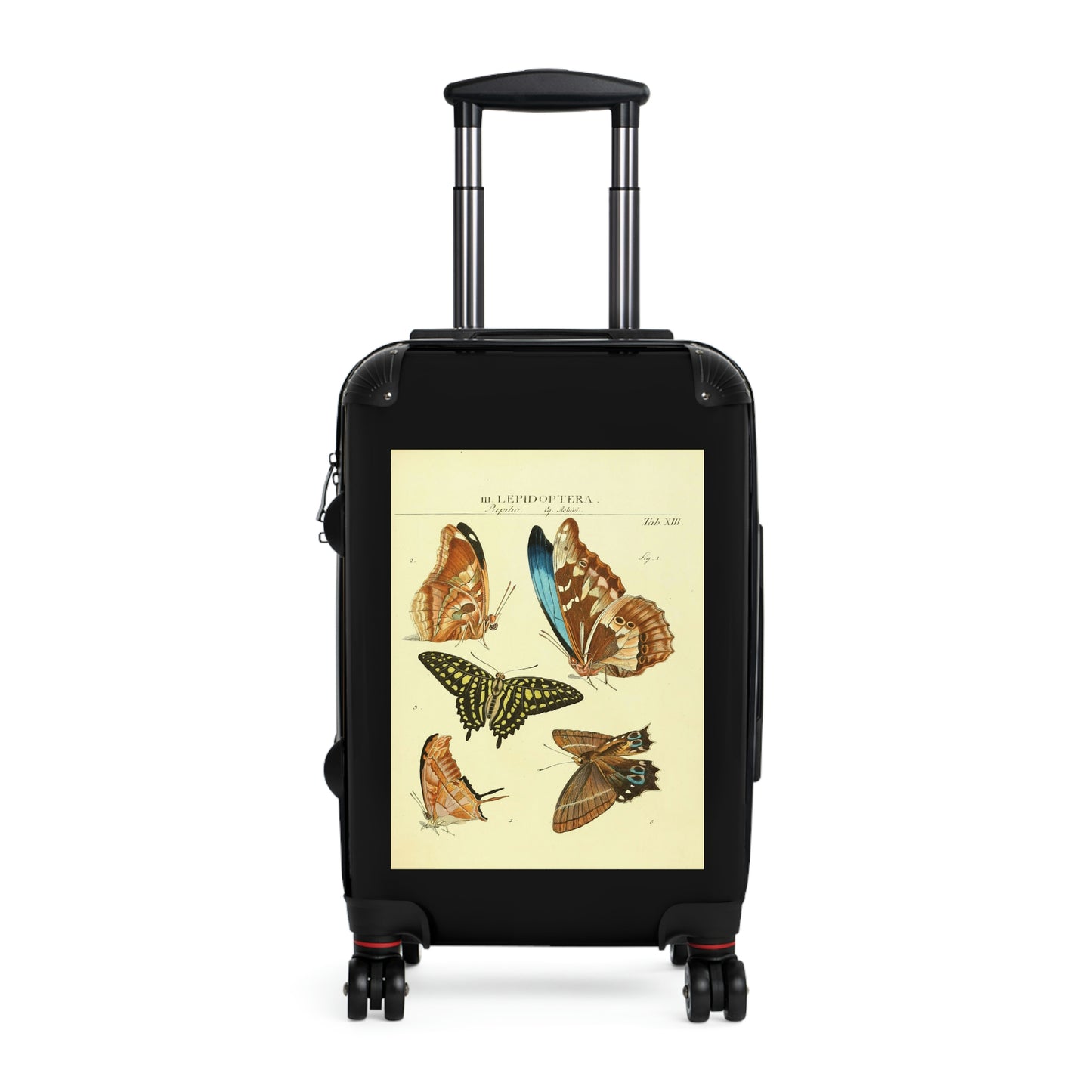 Getrott Butterflies Macrolepidopteran Rhopalocera Lepidoptera Papilic Achivi Cabin Suitcase Rolling Luggage Extended Storage Adjustable Telescopic Handle Double wheeled Polycarbonate Hard-shell Built-in Lock-Bags-Geotrott