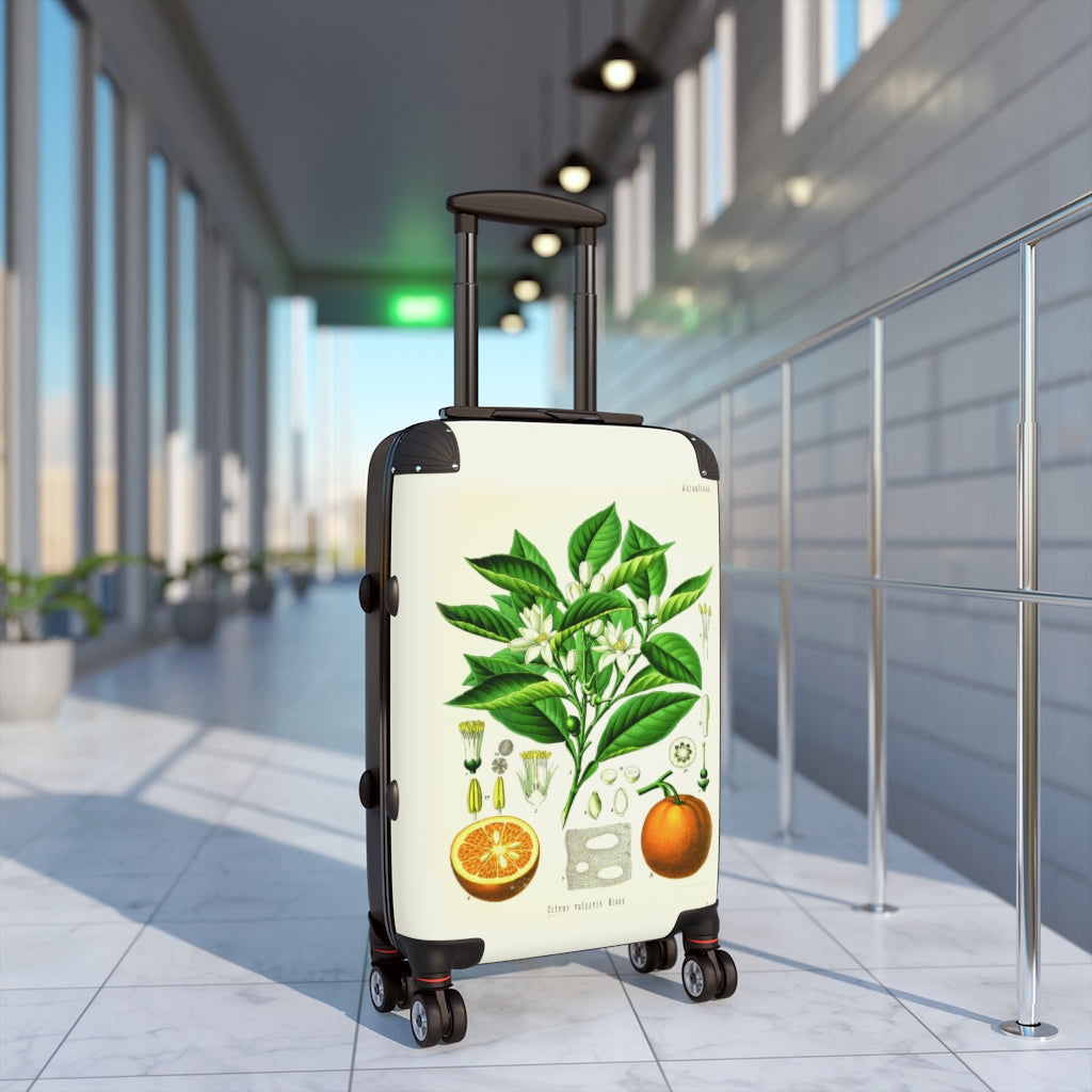 Geotrott Orange Aurantieae Citrus Culgaris Risso Farm Collection Cabin Suitcase Extended Storage Adjustable Telescopic Handle Double Wheeled Polycarbonate Hard-Shell Built-In Lock