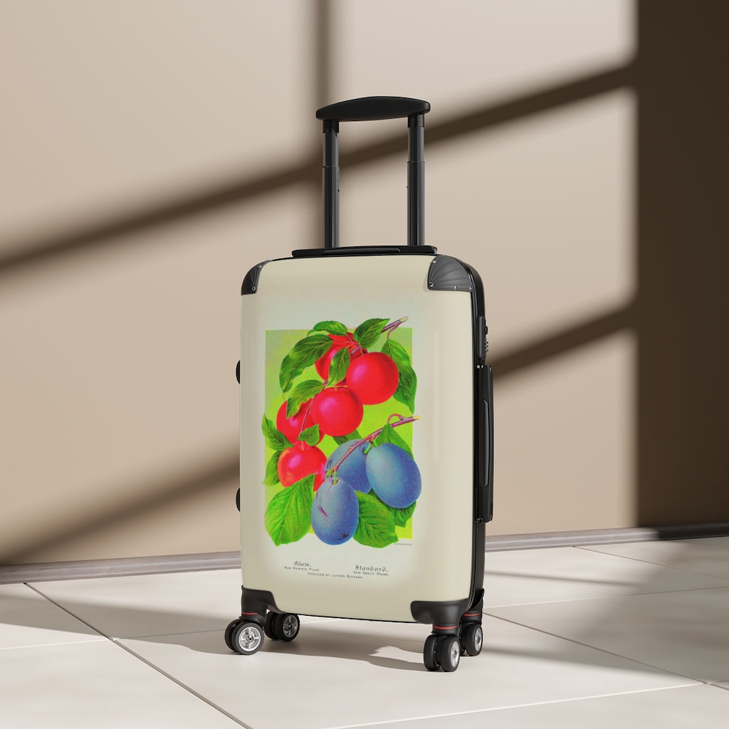 Getrott Peach Glow Hybrid Plum Sweet Prune Farm Collection Cabin Suitcase Extended Storage Adjustable Telescopic Handle Double wheeled Polycarbonate Hard-shell Built-in Lock-Bags-Geotrott