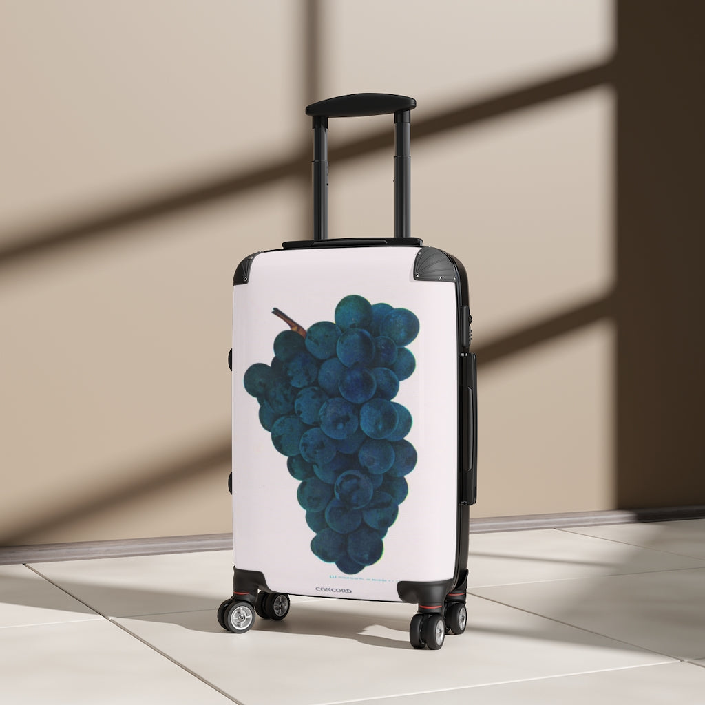 Getrott Concord Grapes Farm Collection Cabin Suitcase Extended Storage Adjustable Telescopic Handle Double wheeled Polycarbonate Hard-shell Built-in Lock-Bags-Geotrott