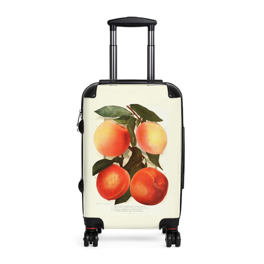 Geotrott Peach Varieties Farm Collection Cabin Suitcase Extended Storage Adjustable Telescopic Handle Double Wheeled Polycarbonate Hard-Shell Built-In Lock