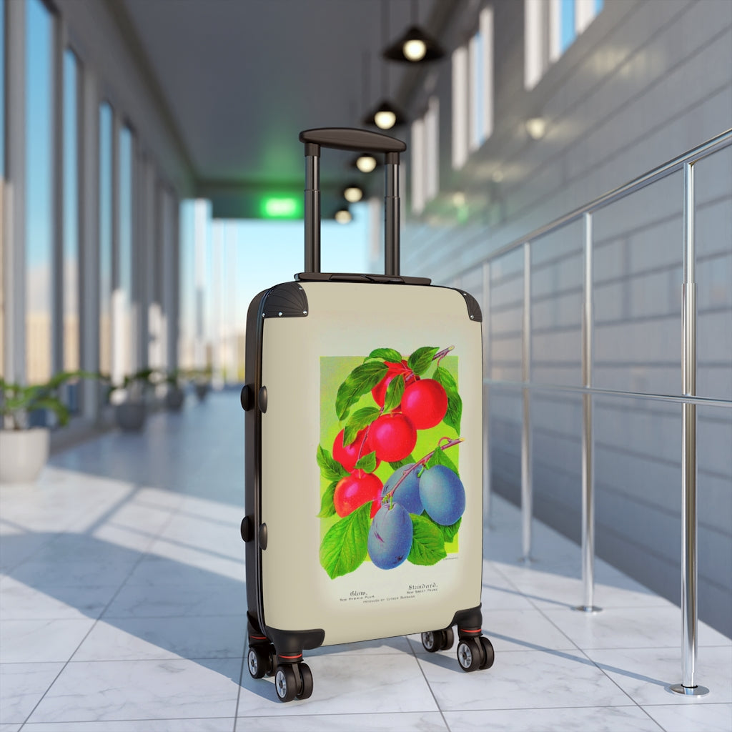 Getrott Peach Glow Hybrid Plum Sweet Prune Farm Collection Cabin Suitcase Extended Storage Adjustable Telescopic Handle Double wheeled Polycarbonate Hard-shell Built-in Lock-Bags-Geotrott