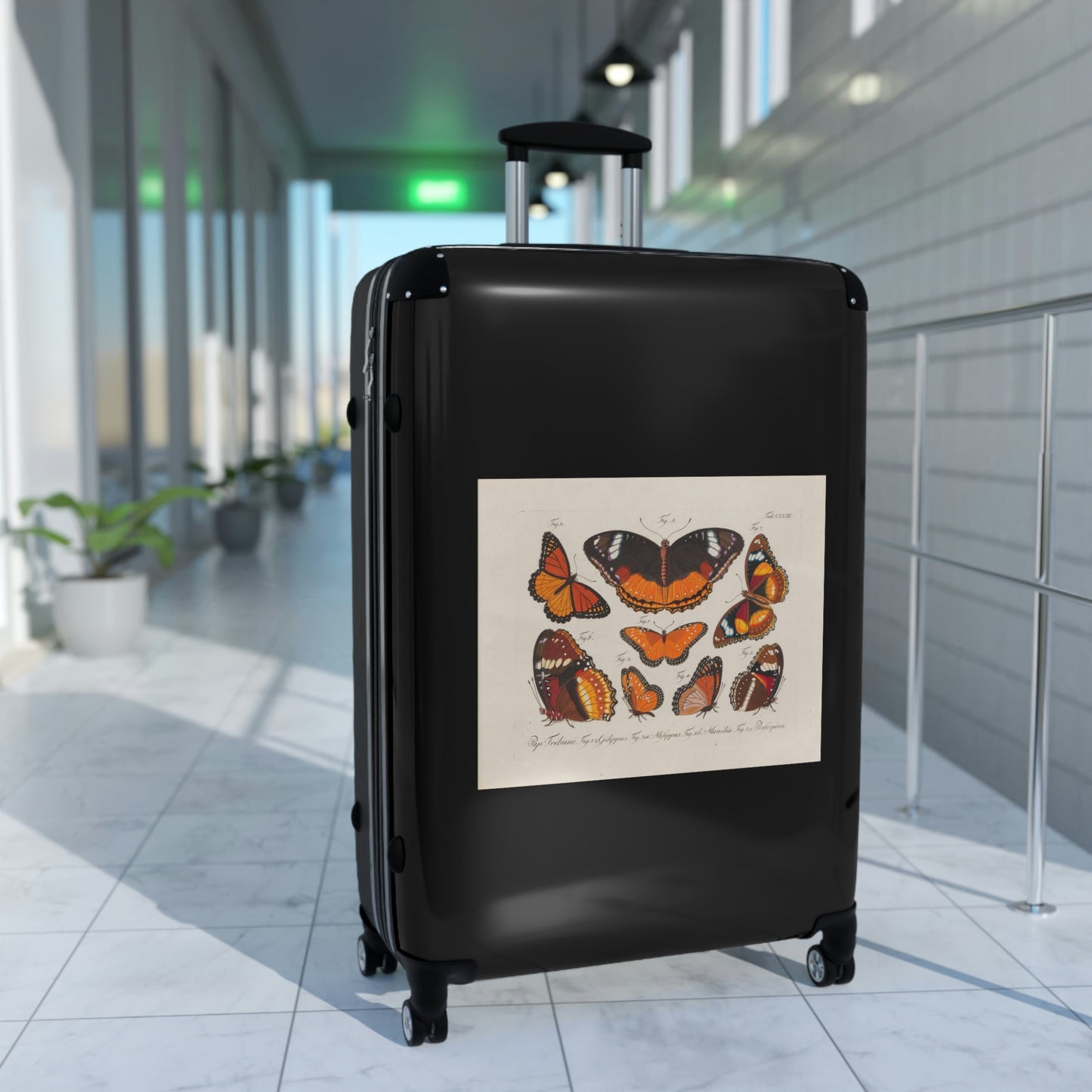 Getrott Butterflies Pap Tribuni Gilippus Milippus Manilia Proferpina Cabin Suitcase Rolling Luggage Extended Storage Adjustable Telescopic Handle Double wheeled Polycarbonate Hard-shell Built-in Lock-Bags-Geotrott