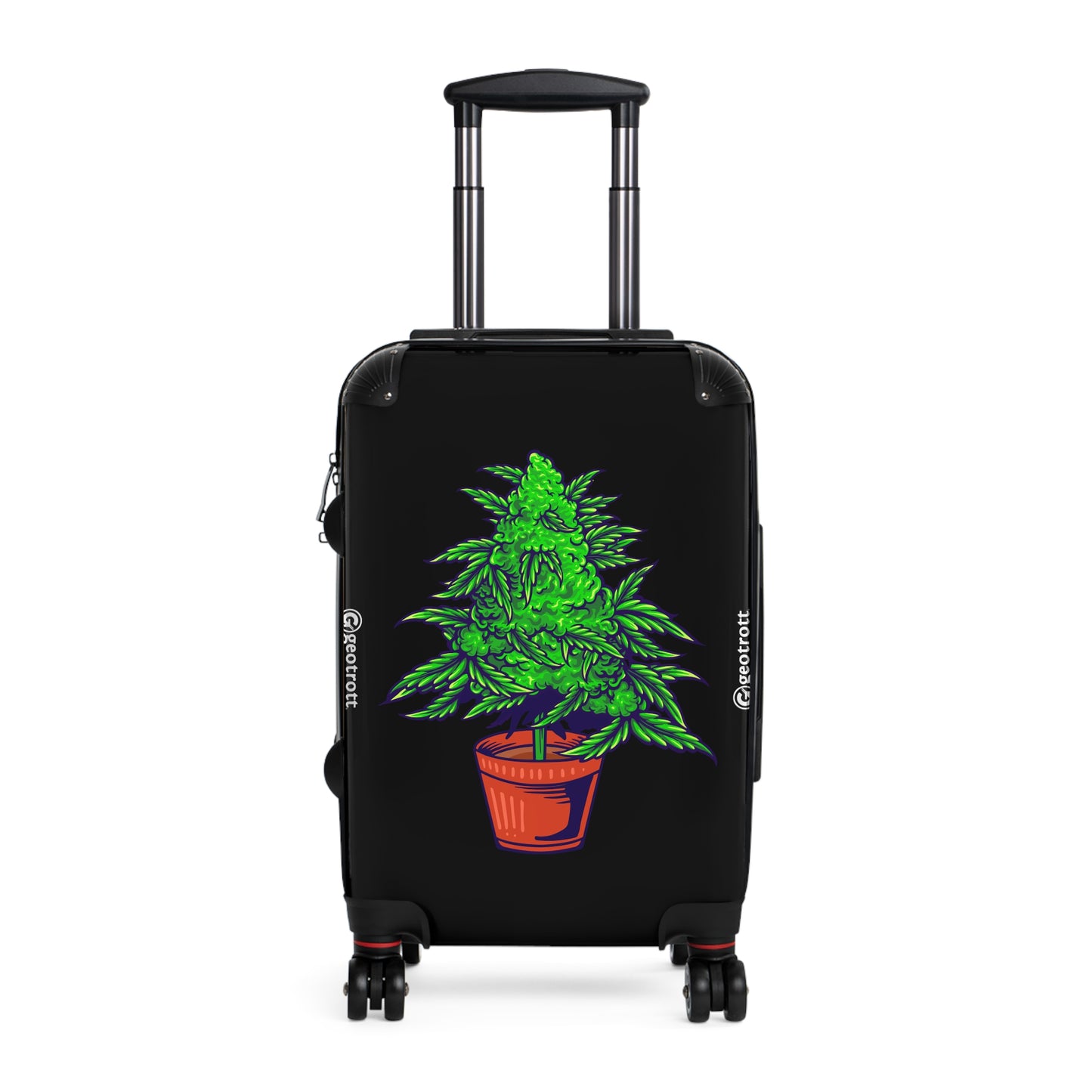 CANNABIS 29