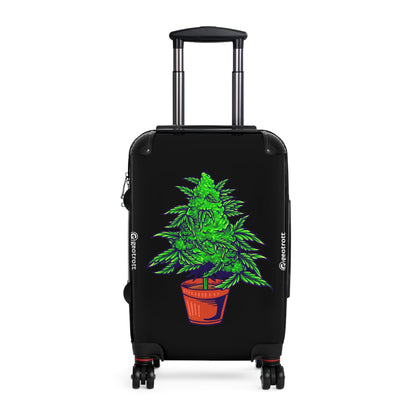 CANNABIS 29
