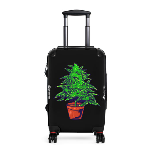 CANNABIS 29