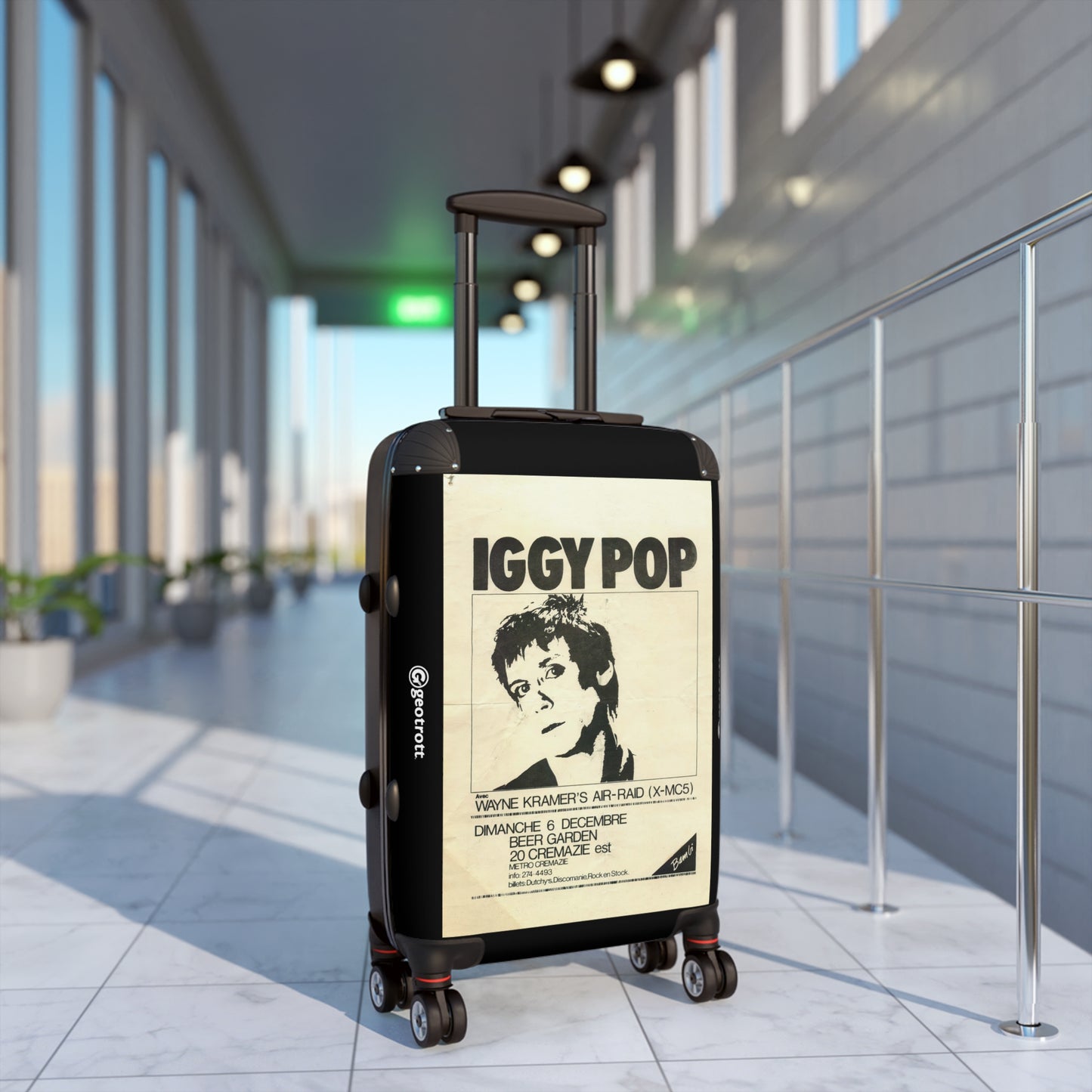 Iggy-Pop-concert-7.jpg