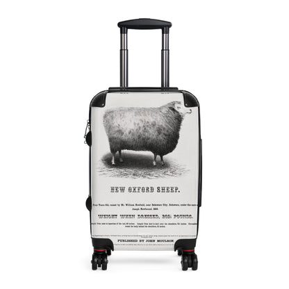 New-Oxford-Sheep-1853-By-John-Moulson Jpg