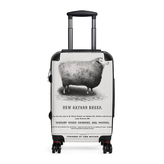 New-Oxford-Sheep-1853-By-John-Moulson Jpg