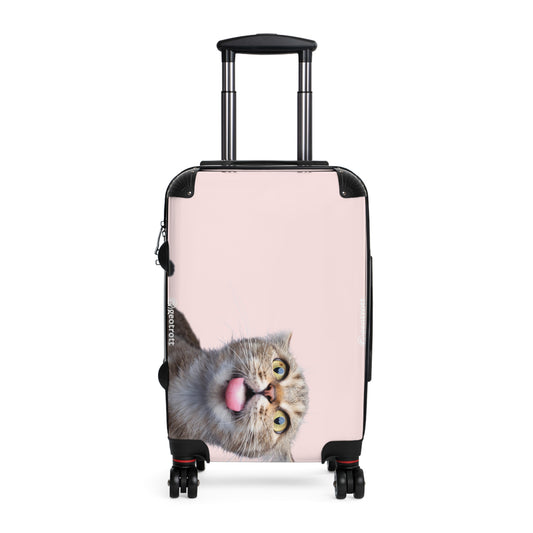 ANIMALS_9.jpg