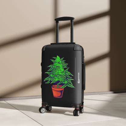 CANNABIS 29