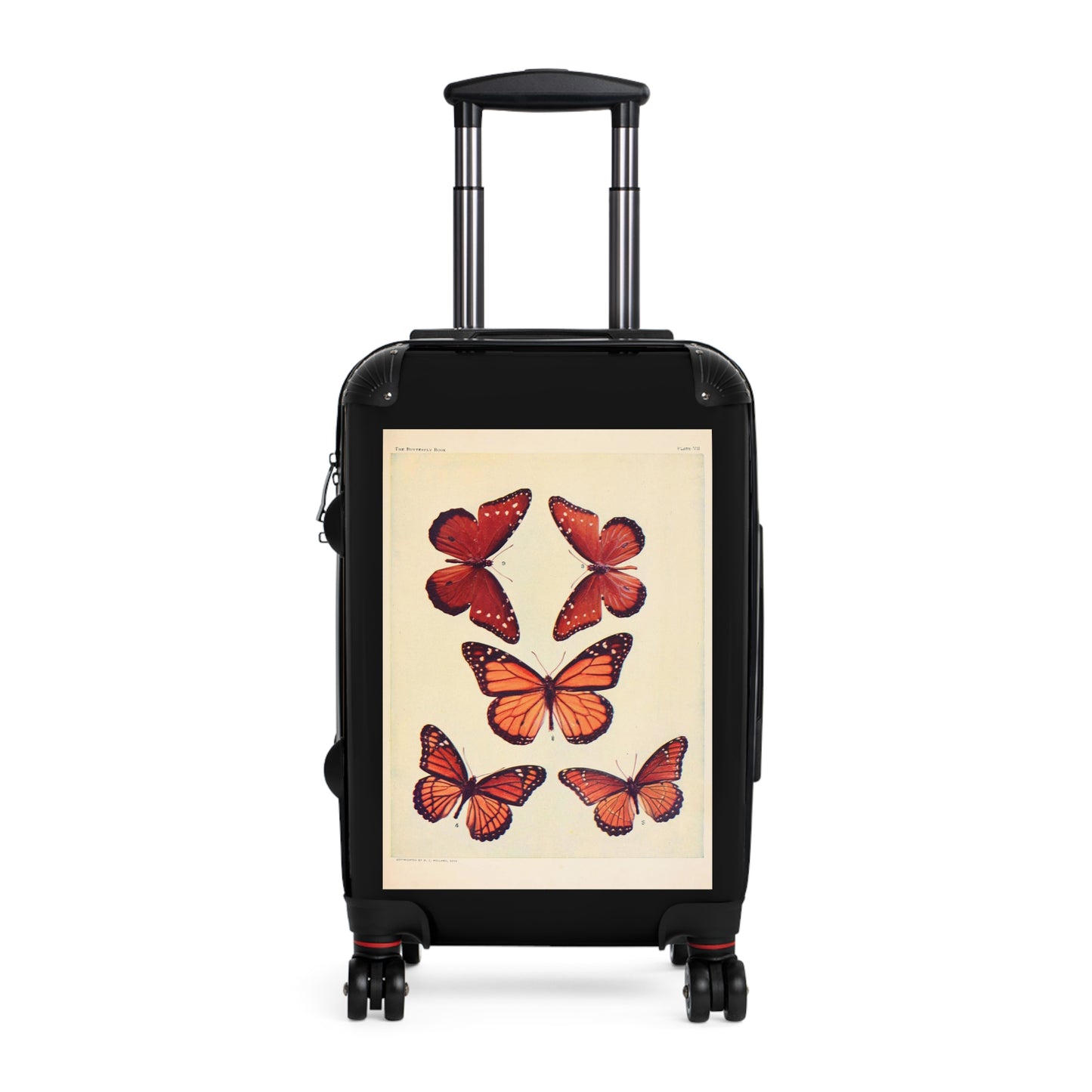 The Butterfly Book Butterflies Macrolepidopteran Rhopalocera Red Lepidoptera Black Cabin Suitcase Rolling Luggage