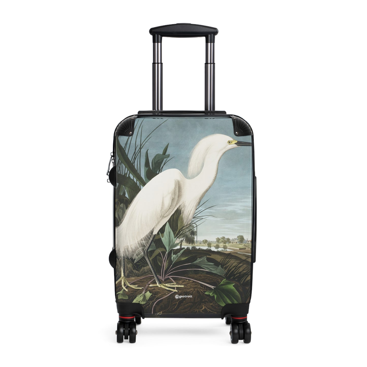 Snowy-Heron-or-White-Egret-from-Birds-of-America-1827-by-John-James-Audubon-giga