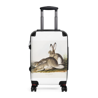 ownsends-Rocky-Mountain-Hare-Lepus-Townsendii-from-the-viviparous-quadrupeds-of-North-America-1845-illustrated-by-John-Woodhouse-Audubon-giga