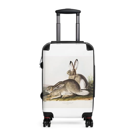 ownsends-Rocky-Mountain-Hare-Lepus-Townsendii-from-the-viviparous-quadrupeds-of-North-America-1845-illustrated-by-John-Woodhouse-Audubon-giga