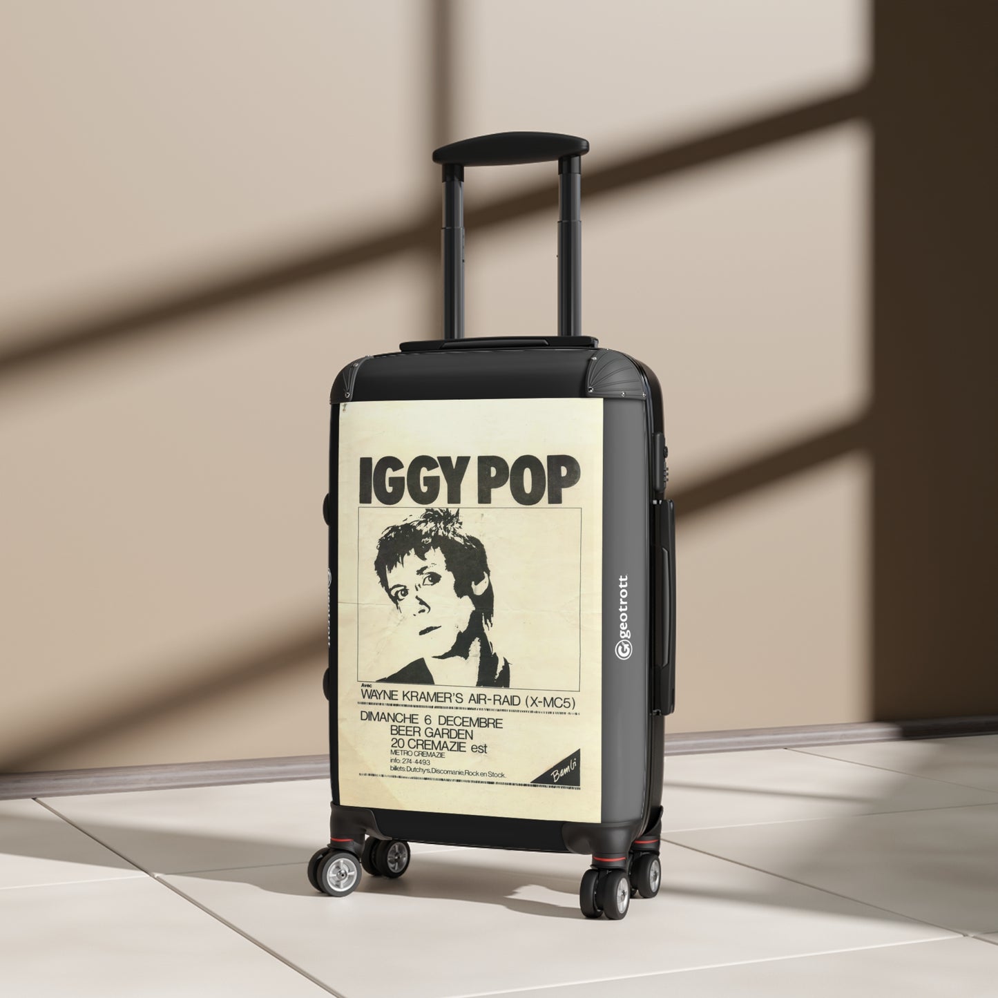 Iggy-Pop-concert-7.jpg