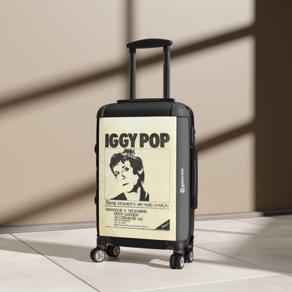 Iggy-Pop-concert-7.jpg