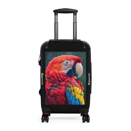 THE close up shot macaw with rain drops on feathers ult f72b8e78 17e6 44d5 8f03 1307676fffde 1