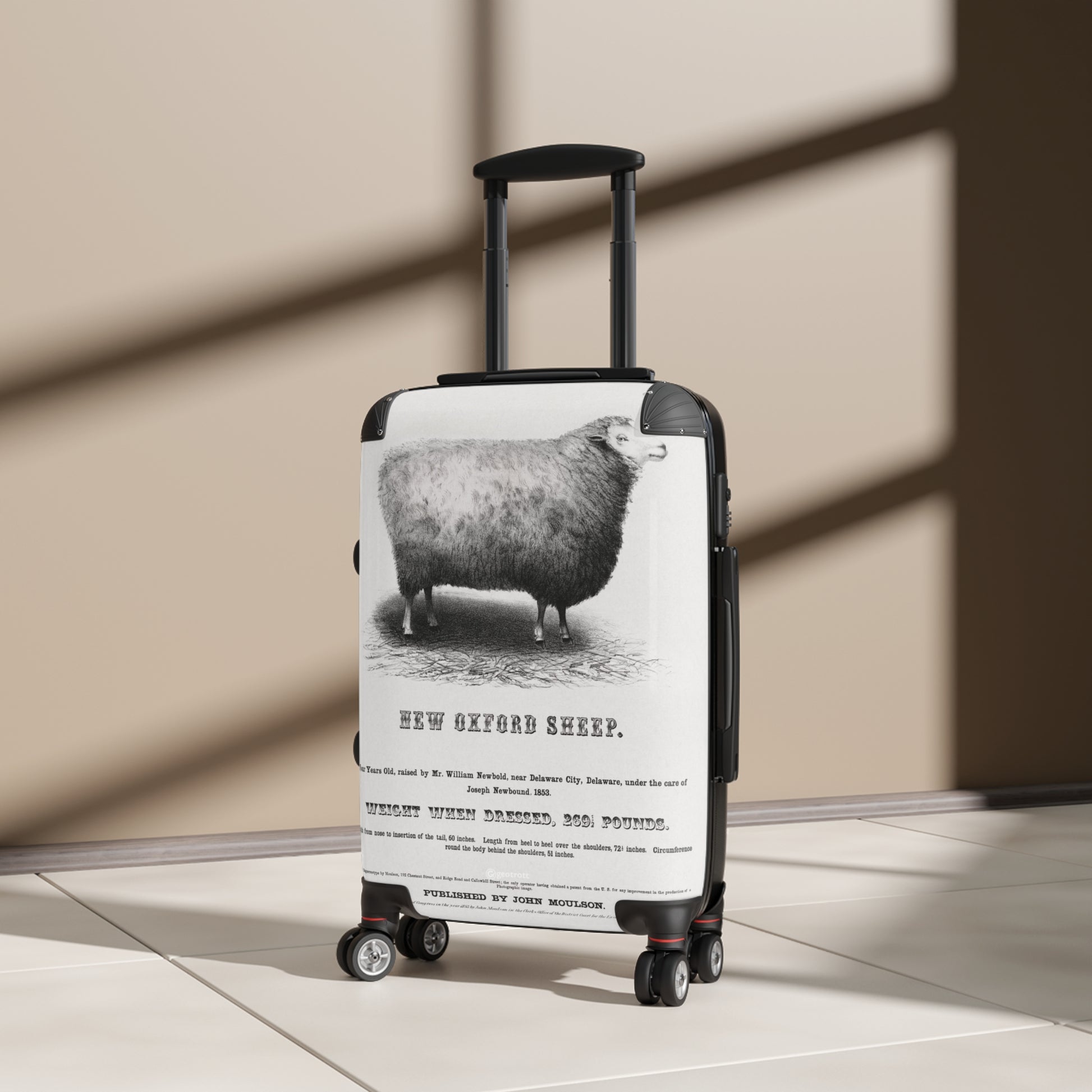 New-Oxford-Sheep-1853-By-John-Moulson Jpg