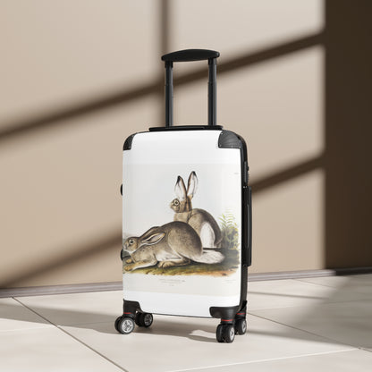 ownsends-Rocky-Mountain-Hare-Lepus-Townsendii-from-the-viviparous-quadrupeds-of-North-America-1845-illustrated-by-John-Woodhouse-Audubon-giga