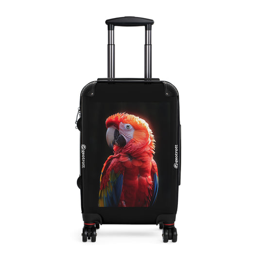 THE Vector T Shirt Design Stunning bird photography sto 2b0d177f 3b32 48de b996 51f1ec189878 3