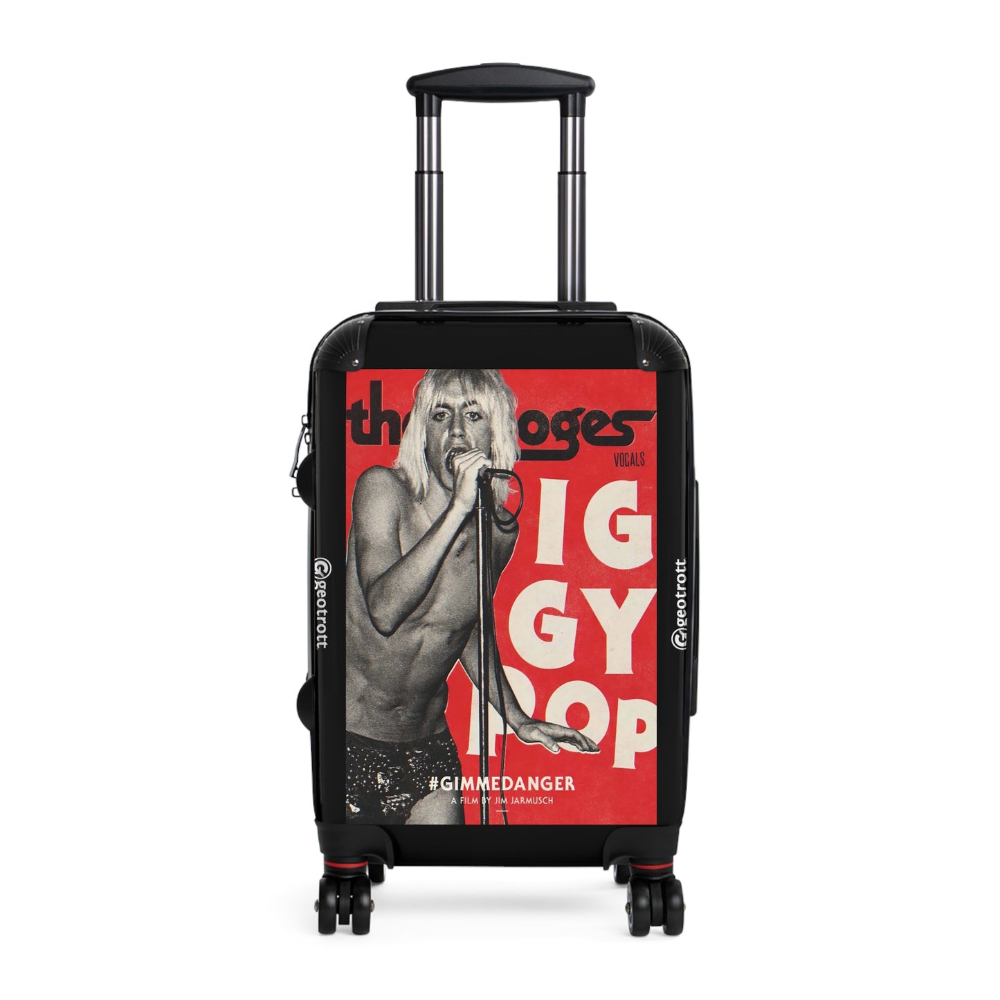 Iggy-Pop-concert-4.jpg